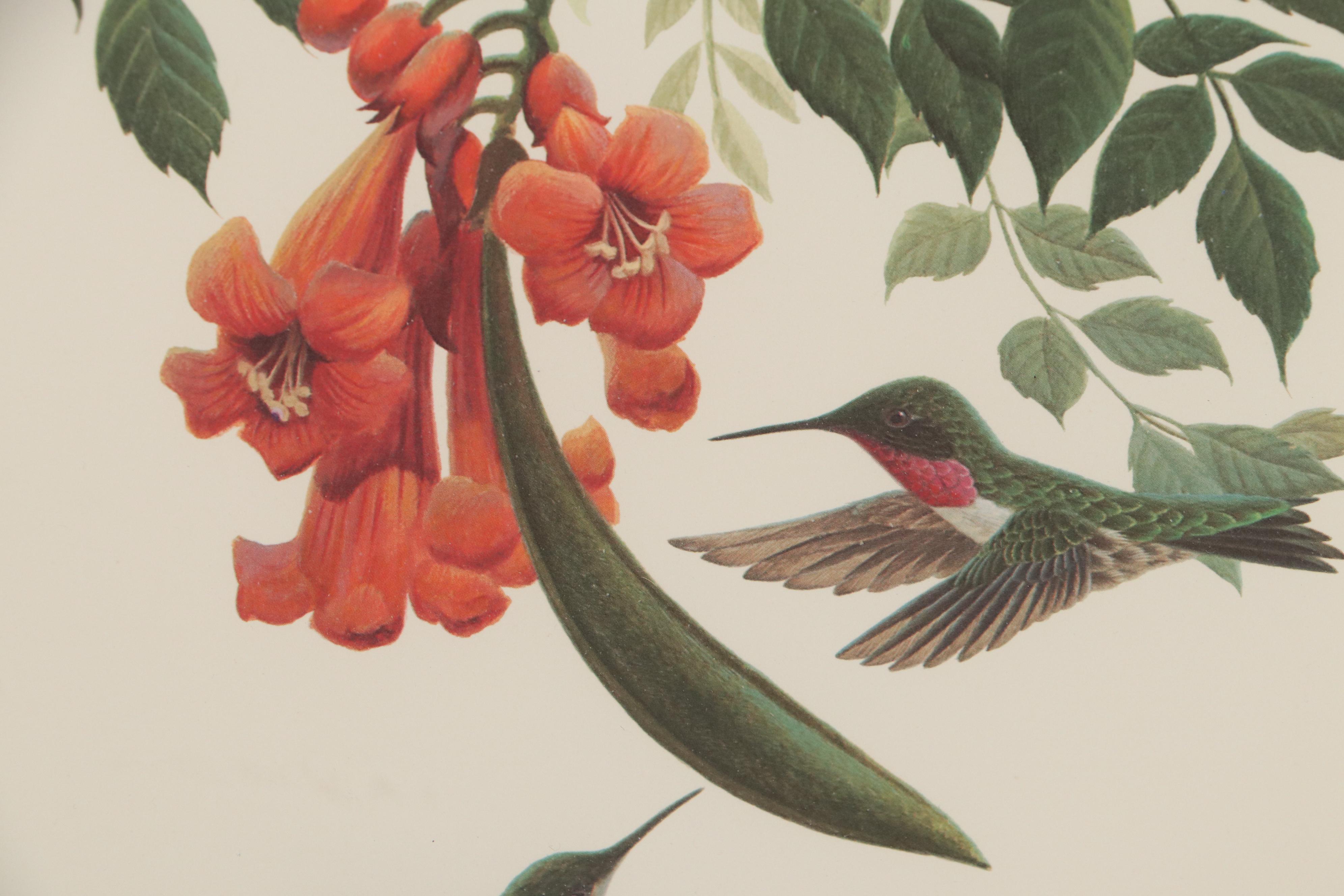 John Ruthven Offset Lithograph "Ruby-Throated Hummingbird," Late 20th Century