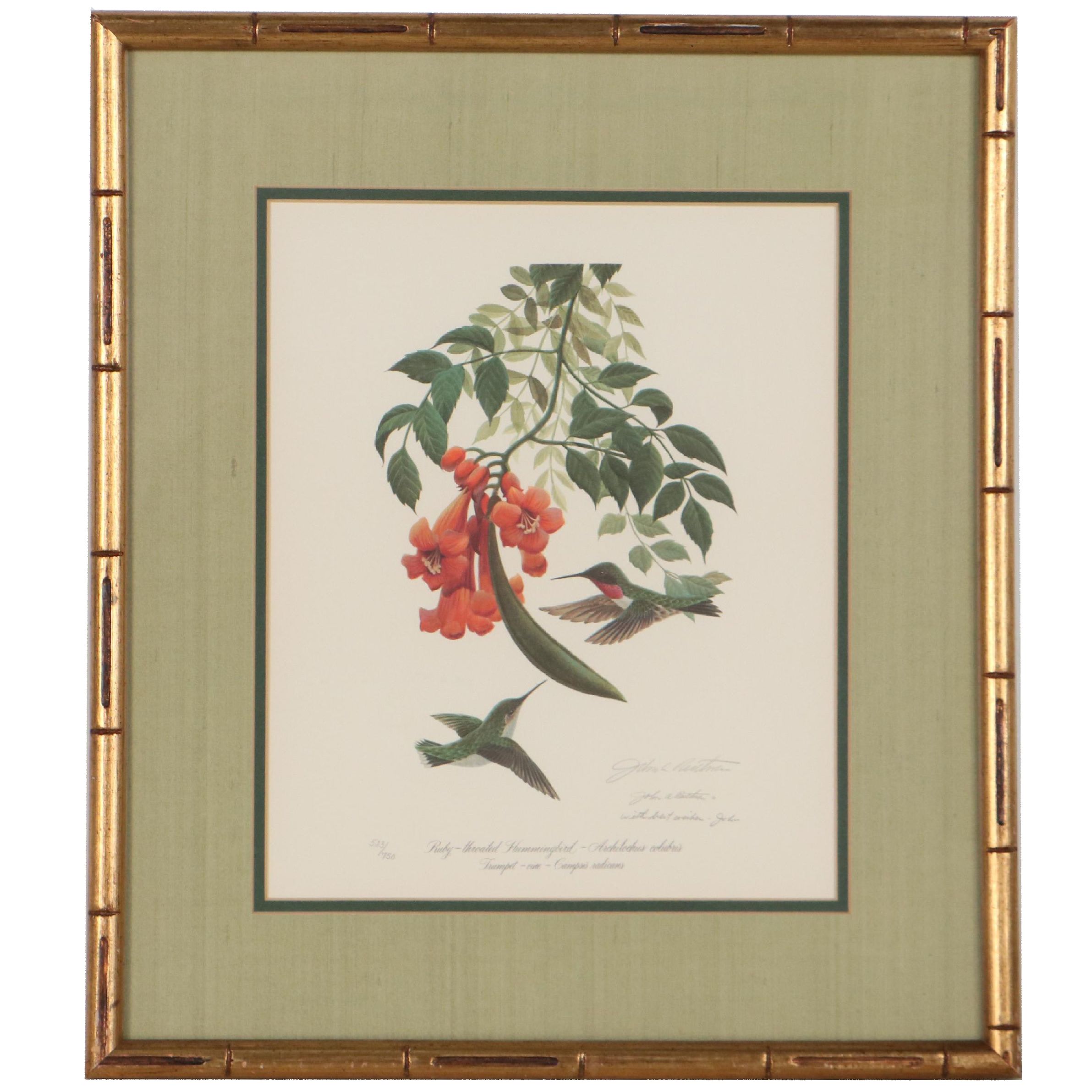 John Ruthven Offset Lithograph "Ruby-Throated Hummingbird," Late 20th Century