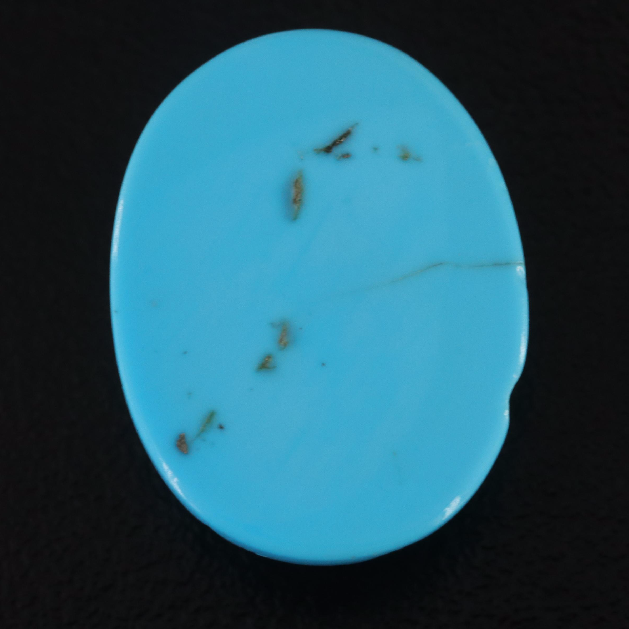 Loose Oval Carved Turquoise Cabochon