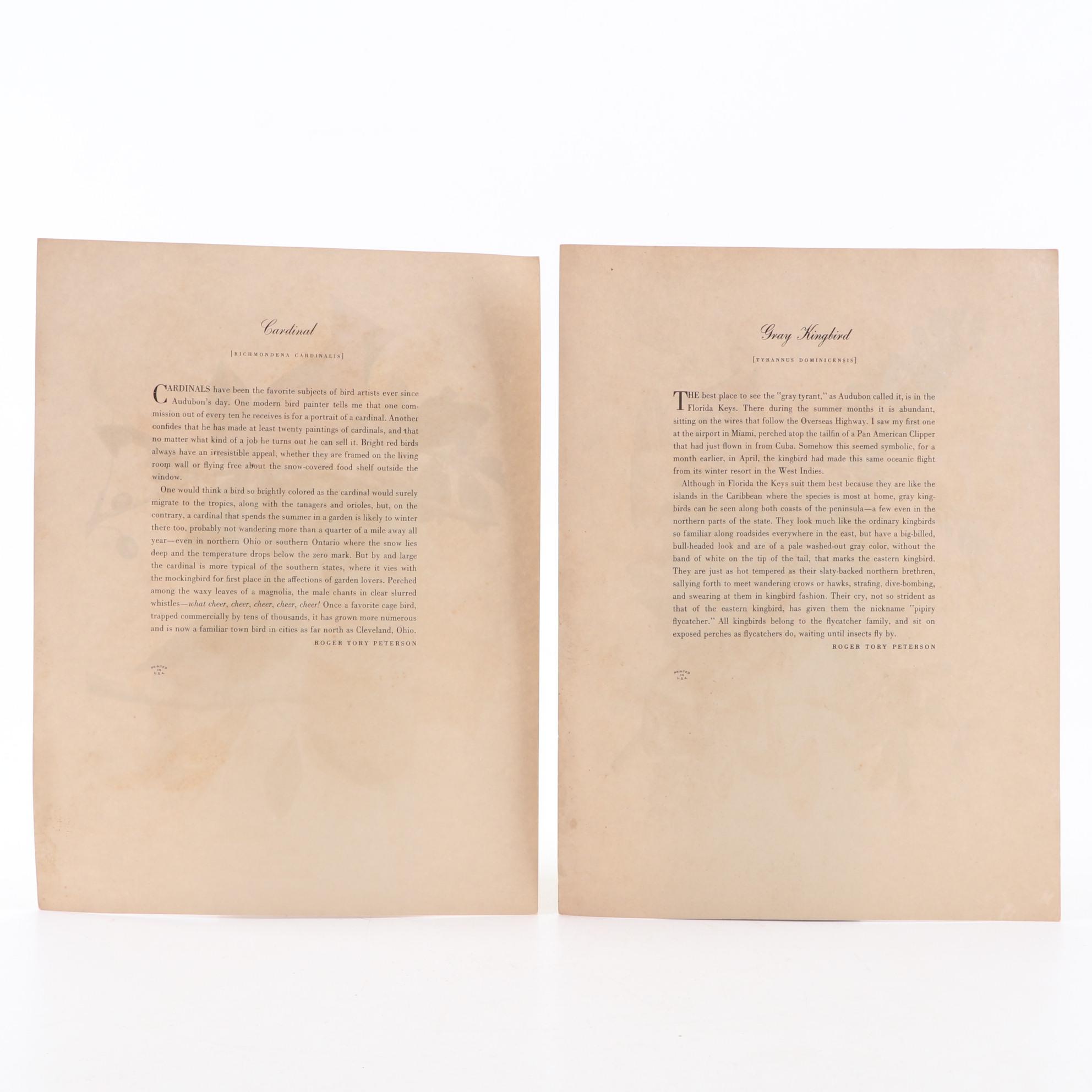 Offset Lithographs After John James Audubon's Birds of America, Circa 1960