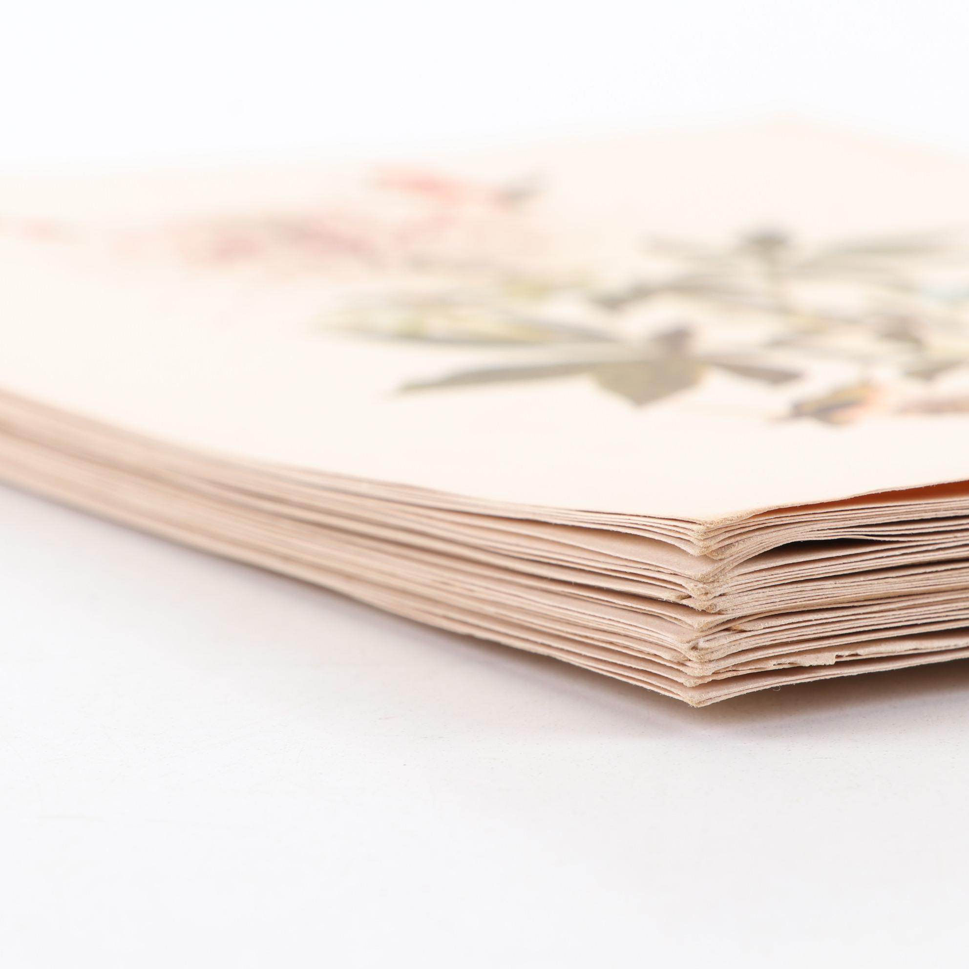 Offset Lithographs After John James Audubon's Birds of America, Circa 1960