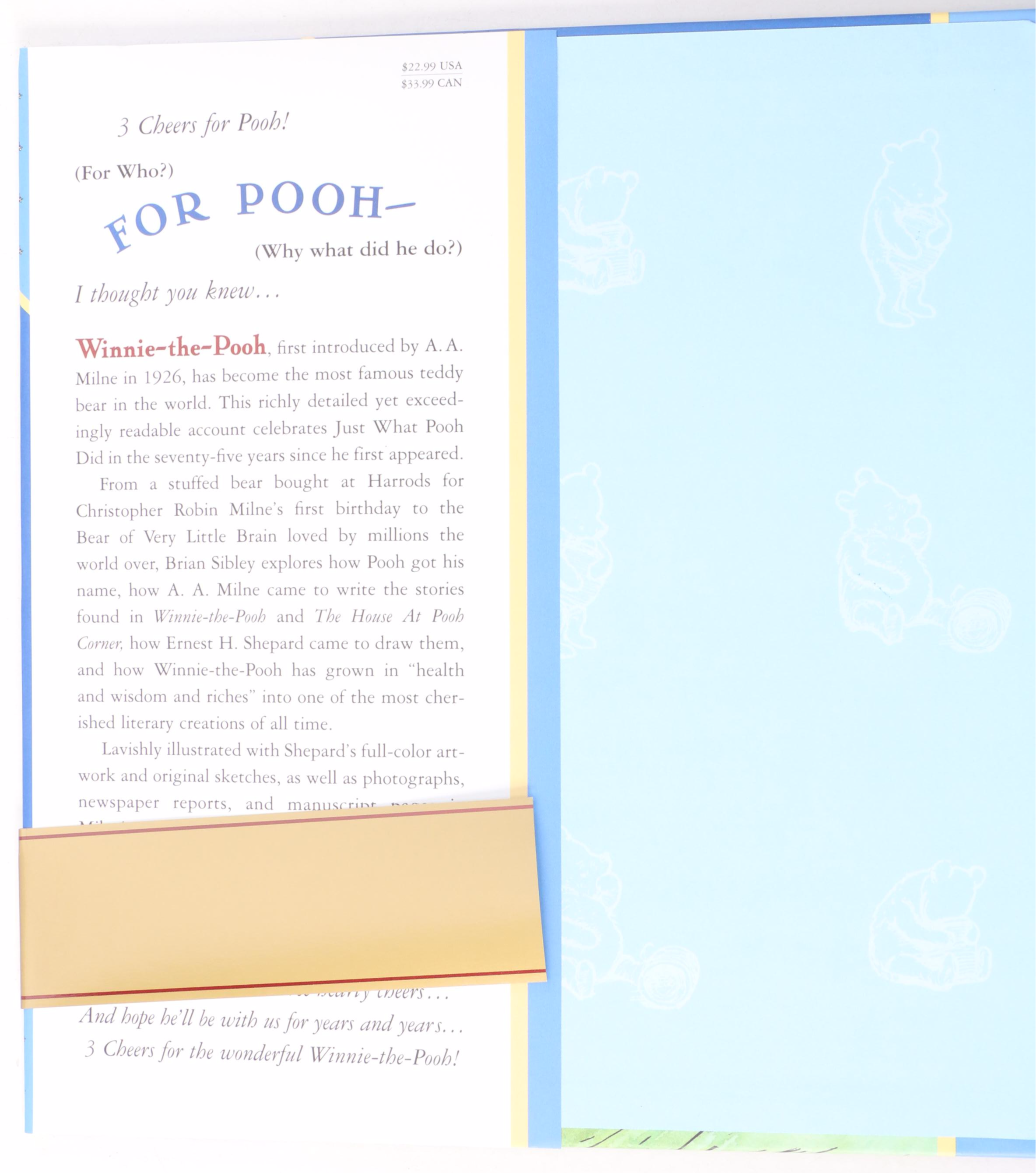 First American Edition "Paddy Foes Traveling" by John Goodall and More Books