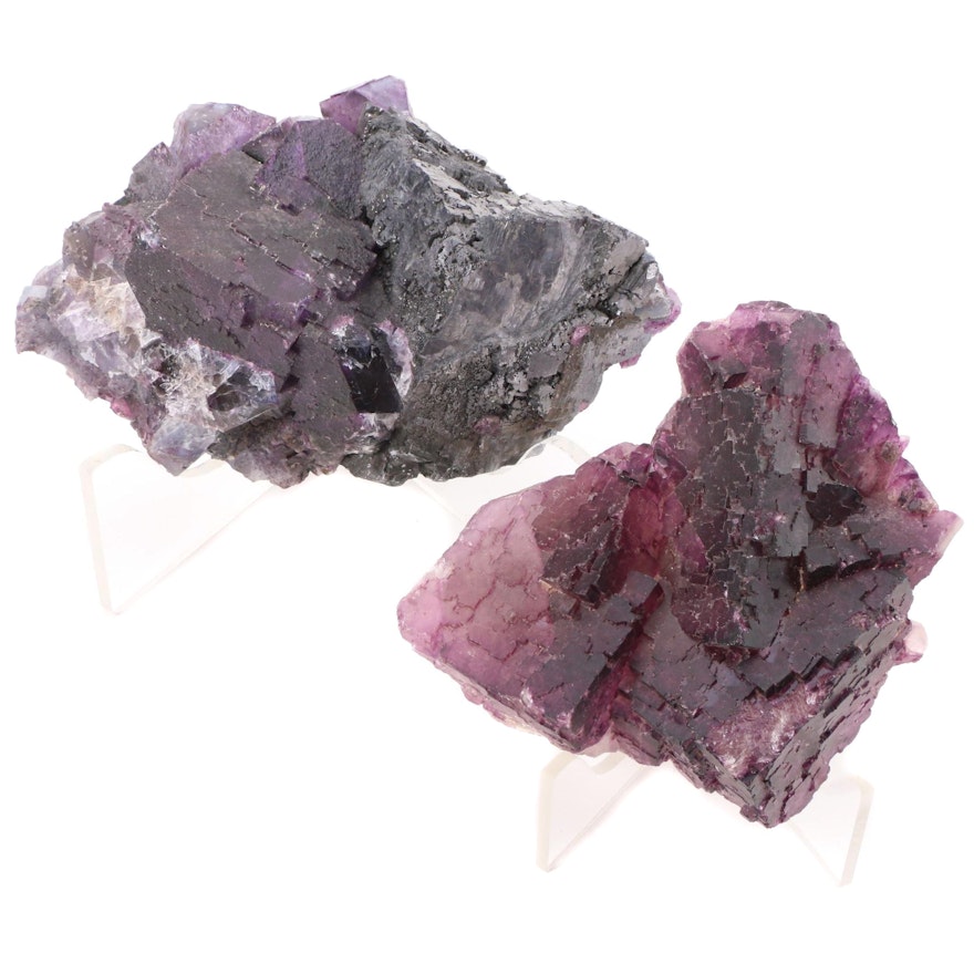 Rough Fluorite and Fluorite with Galena Mineral Specimen Clusters