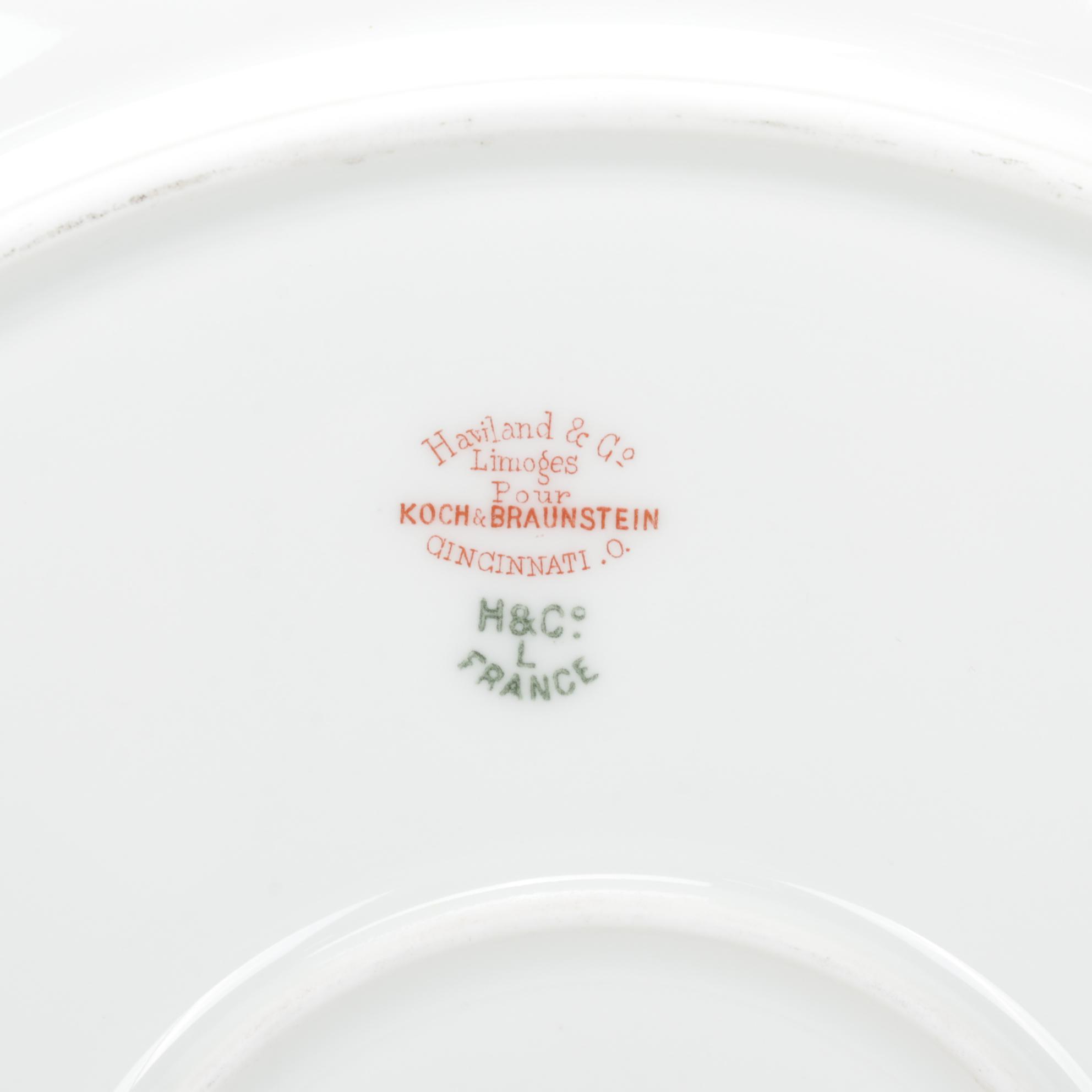 Haviland Limoges Porcelain "Margaux"  and Other Porcelain Dishes