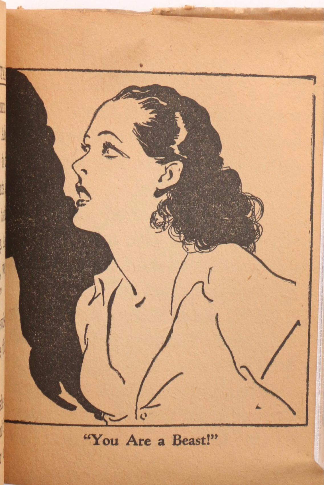 Illustrated "The Son of Tarzan" by Edgar Burroughs and More Books