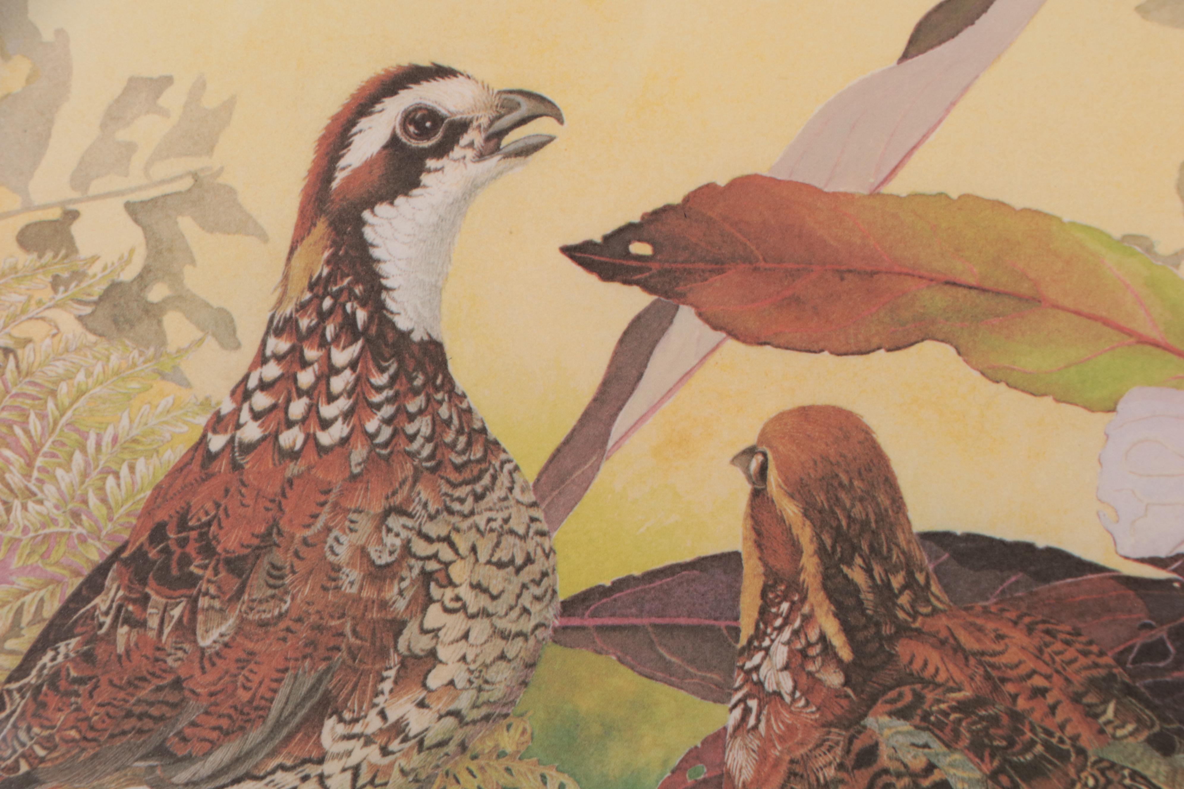 Sallie Ellington Middleton Offset Lithograph "Bobwhites"