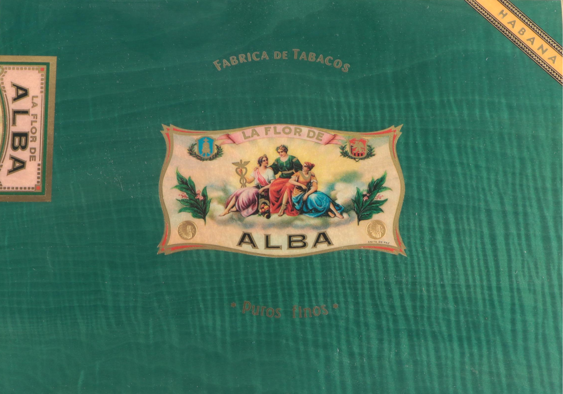 Elie Bleu "Alba Collection" Cedar Lined Cigar Humidor in Green Sycamore