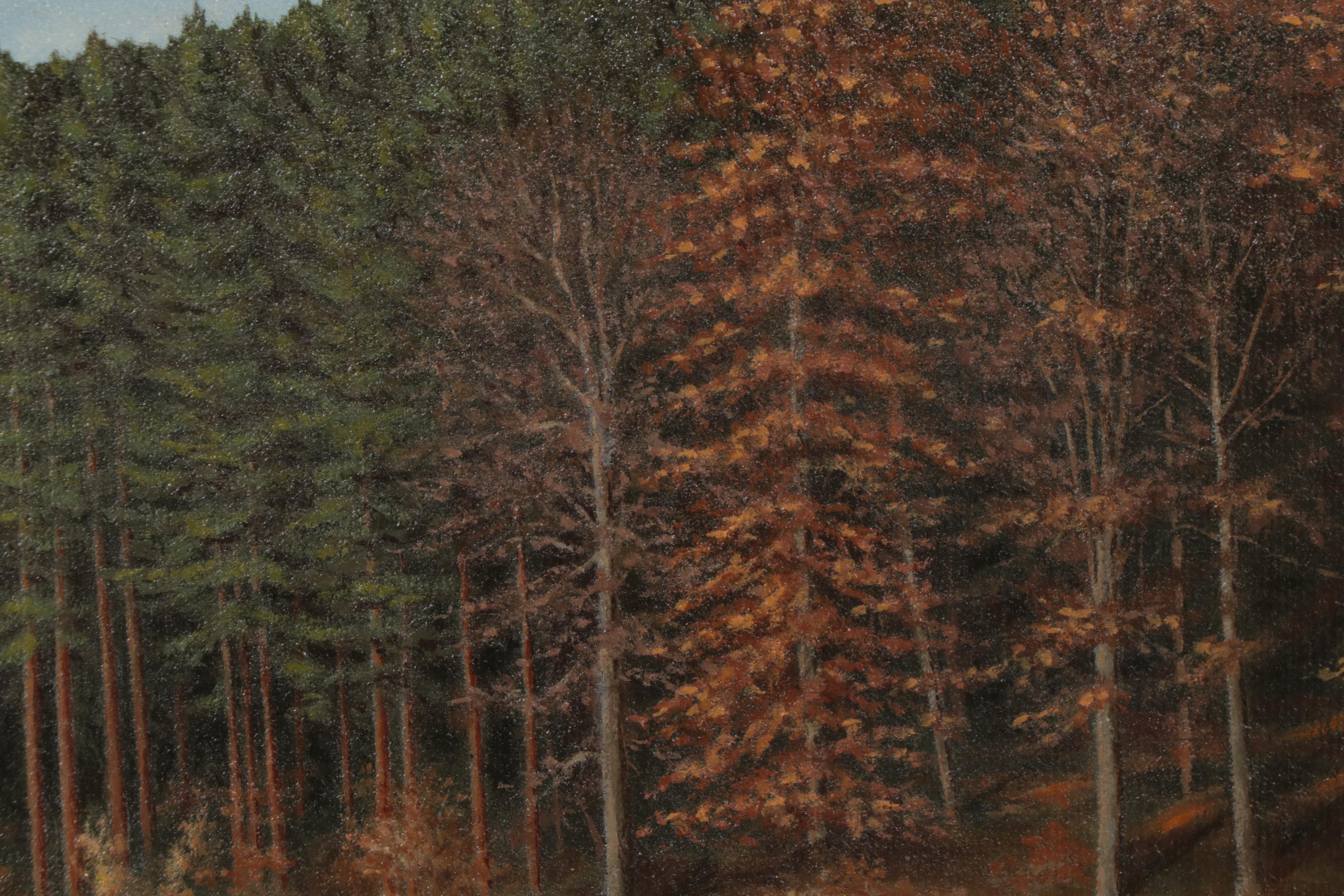 German Landscape Oil Painting "Am Hexenteich," 1986