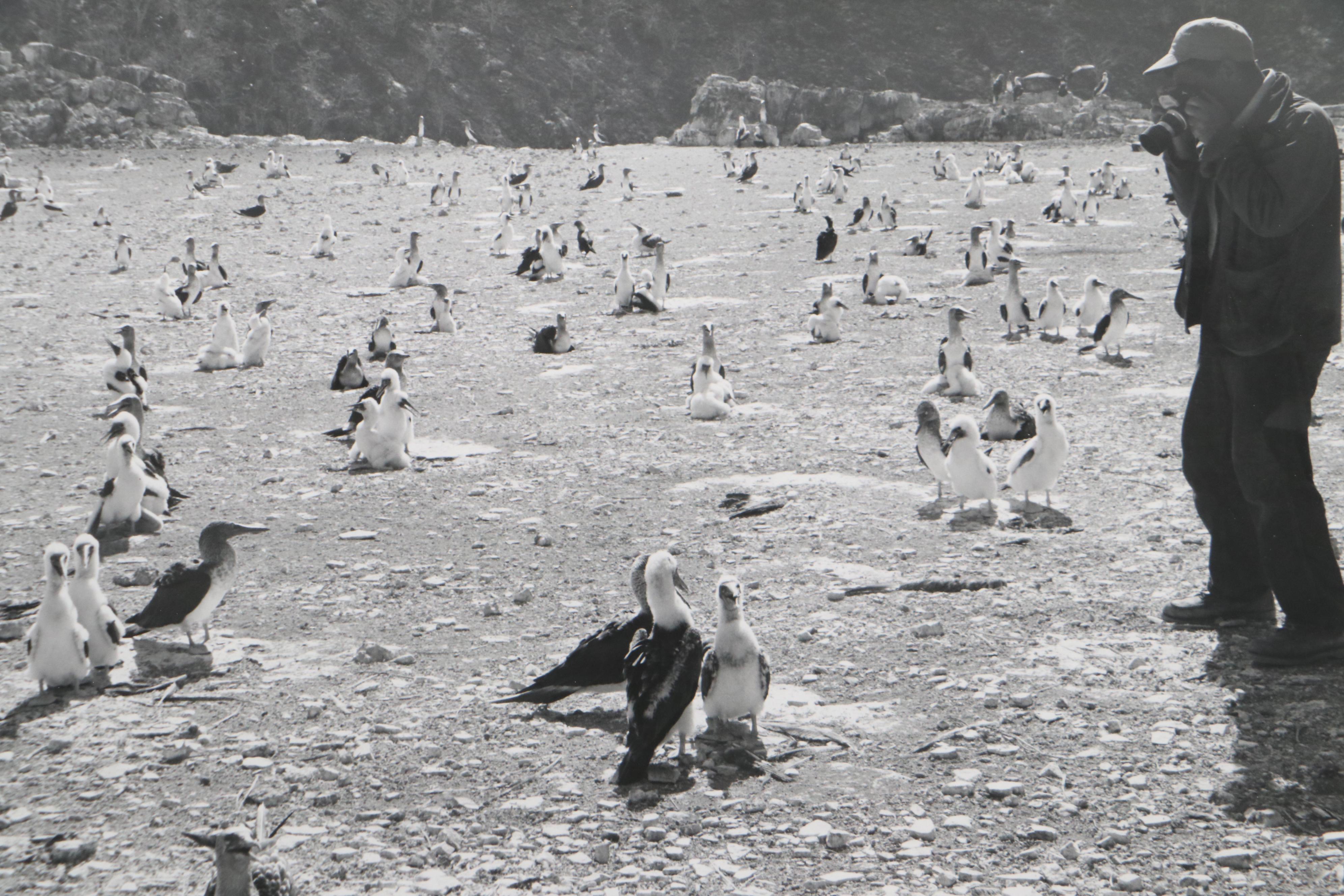 Grant Haist Silver Print Photographs of Galapagos Islands