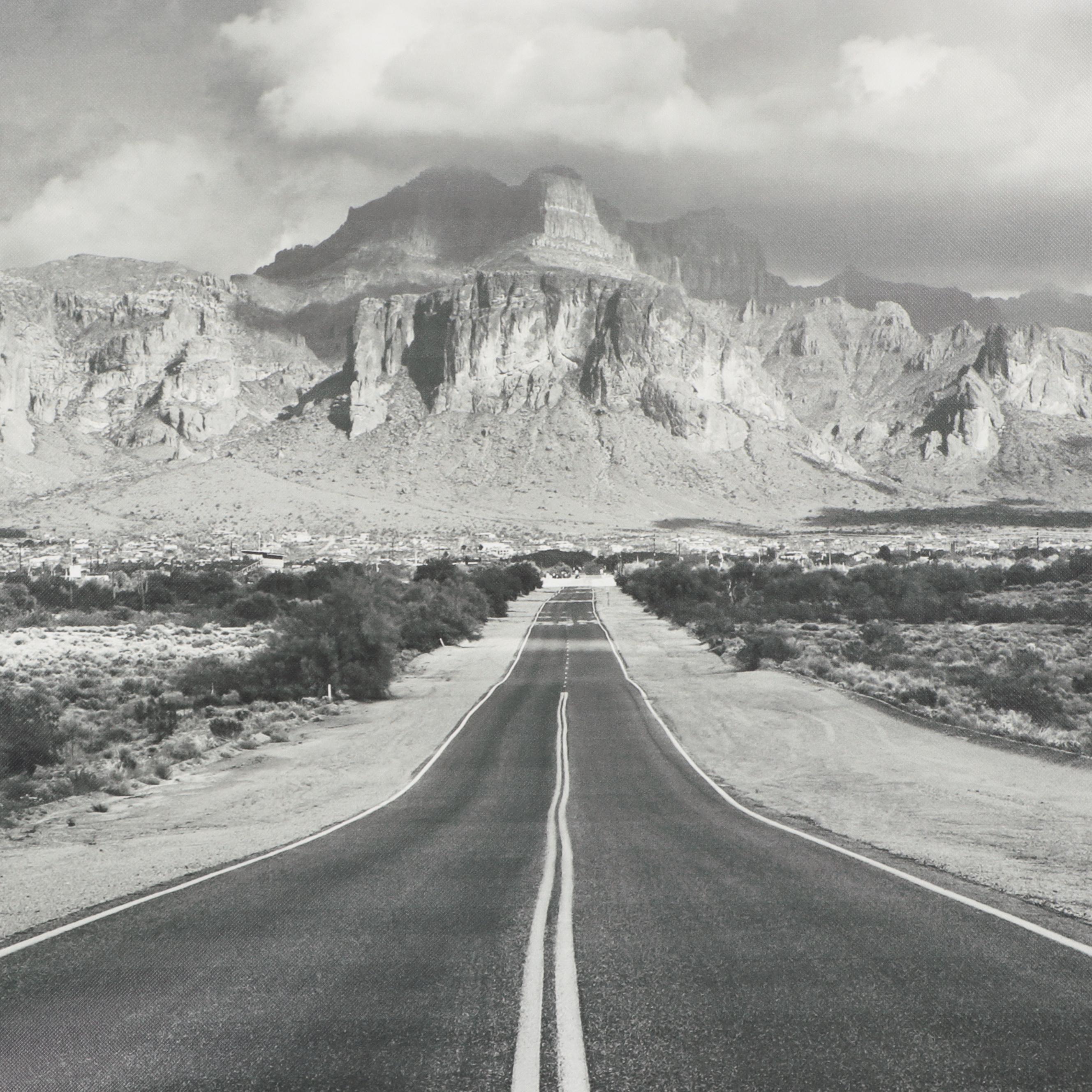 IKEA Large-Scale Giclée from Björksta Series, Late 20th Century