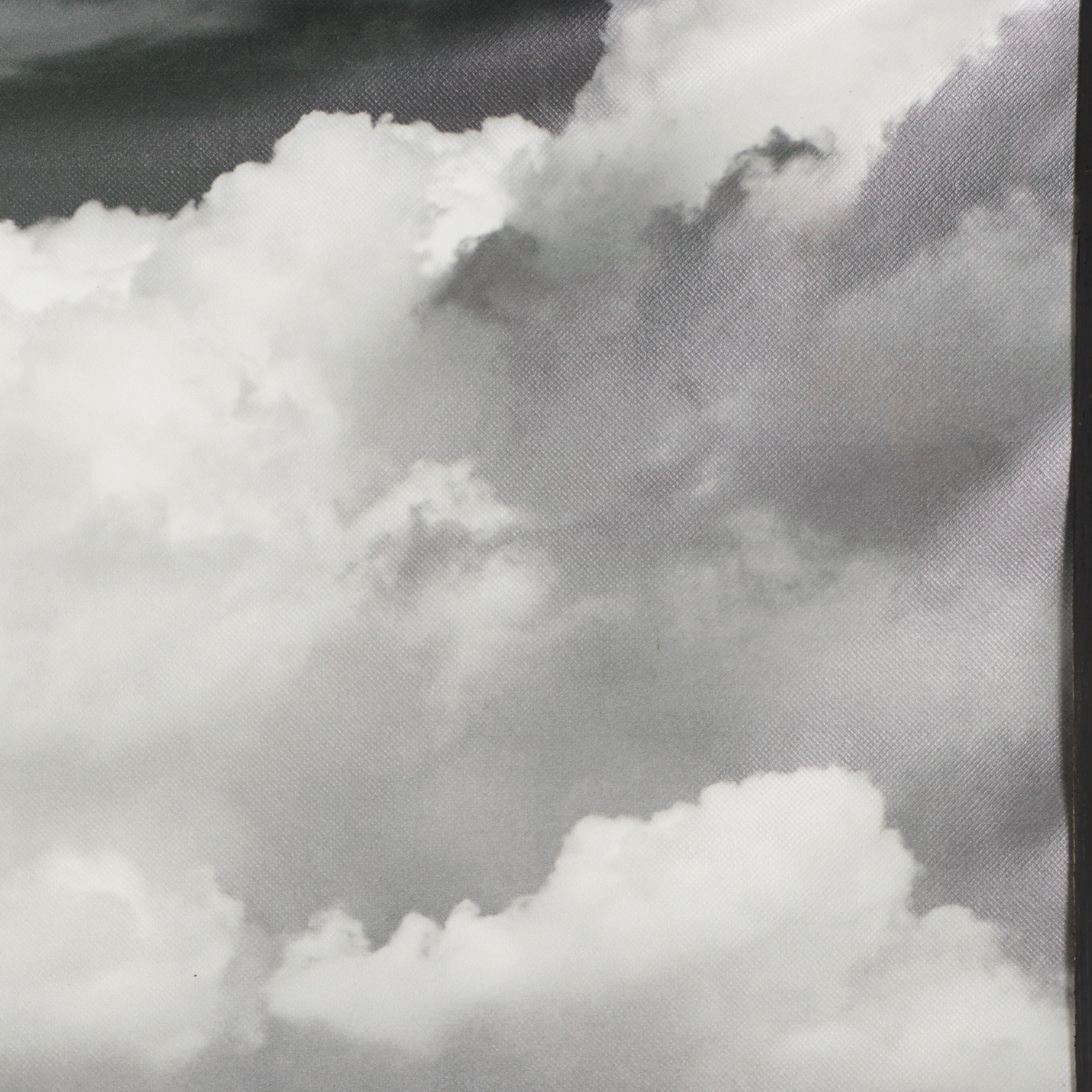 IKEA Large-Scale Giclée from Björksta Series, Late 20th Century