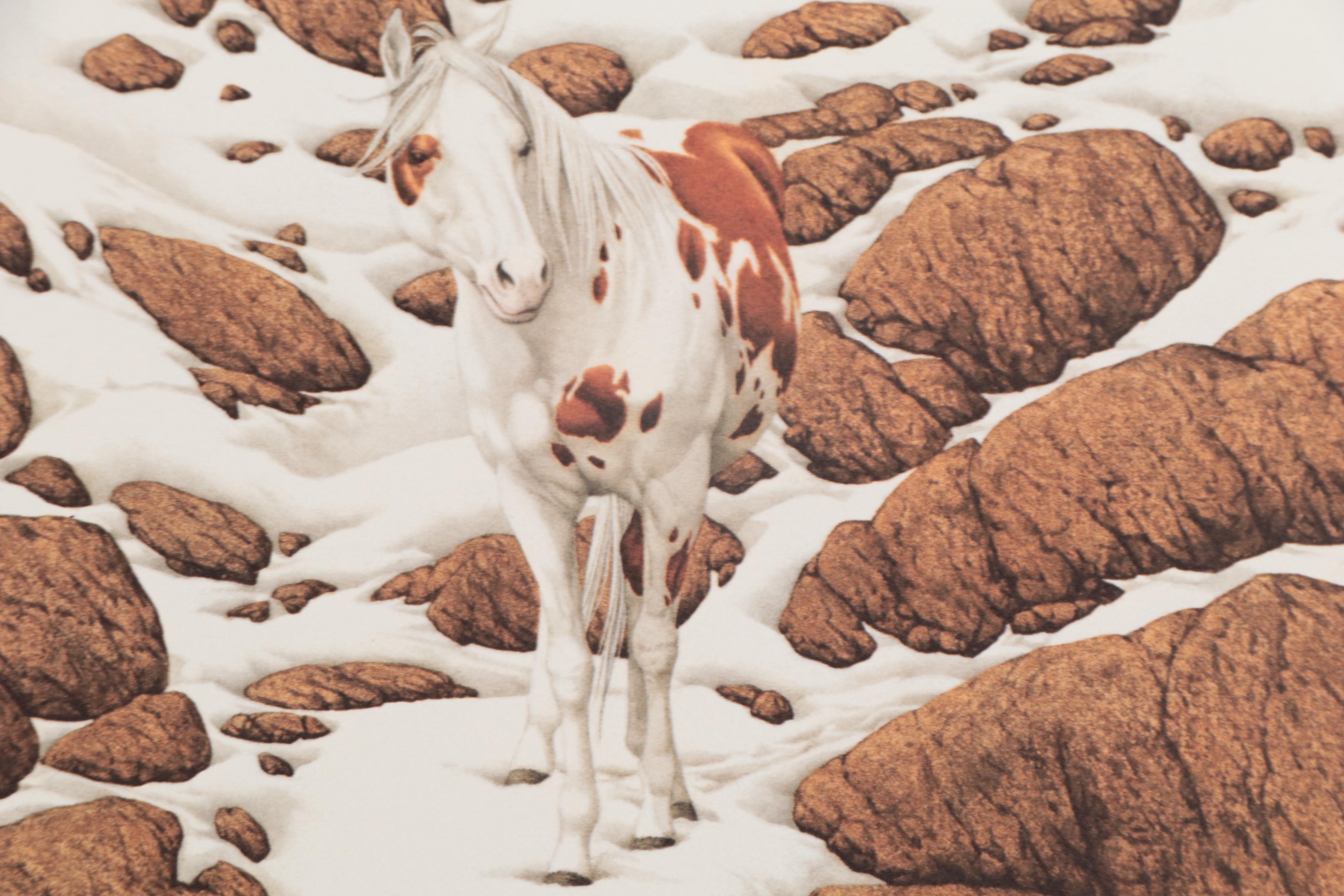 Bev Doolittle Offset Lithograph Portfolio "Hide and Seek," 1990