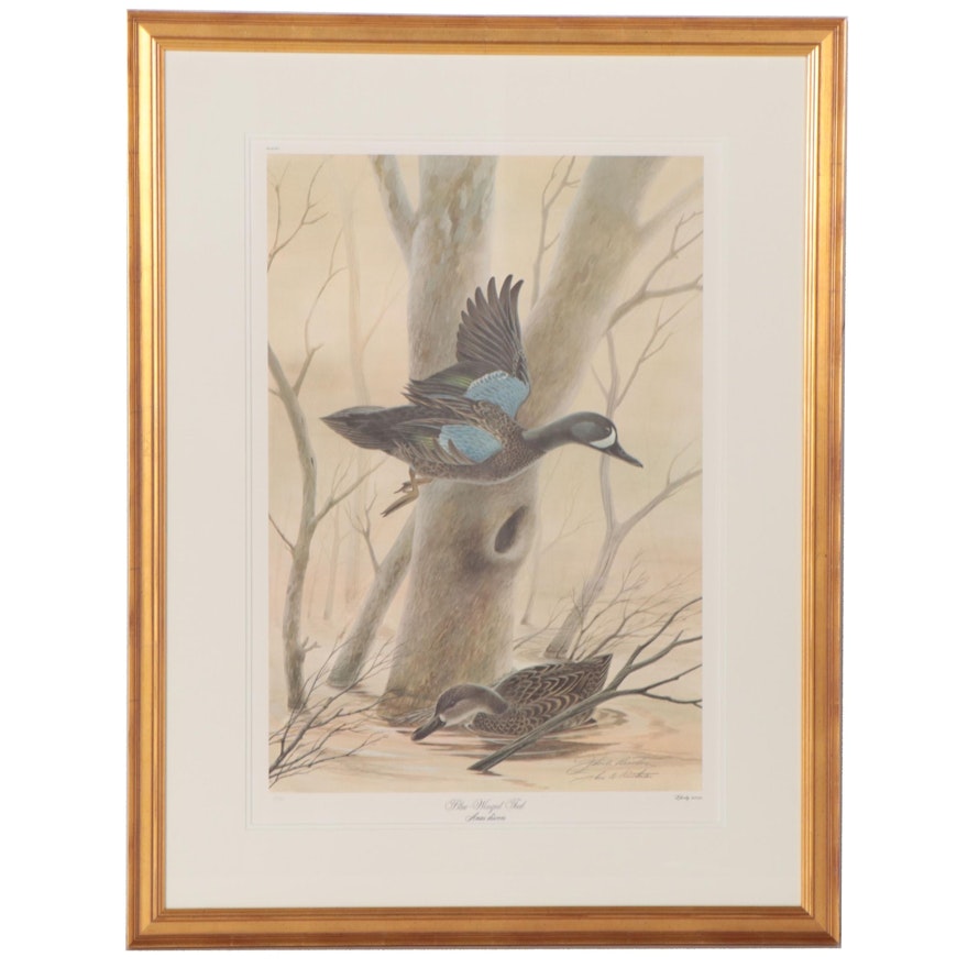 John A. Ruthven Offset Lithograph "Blue-Winged Teal," 1977