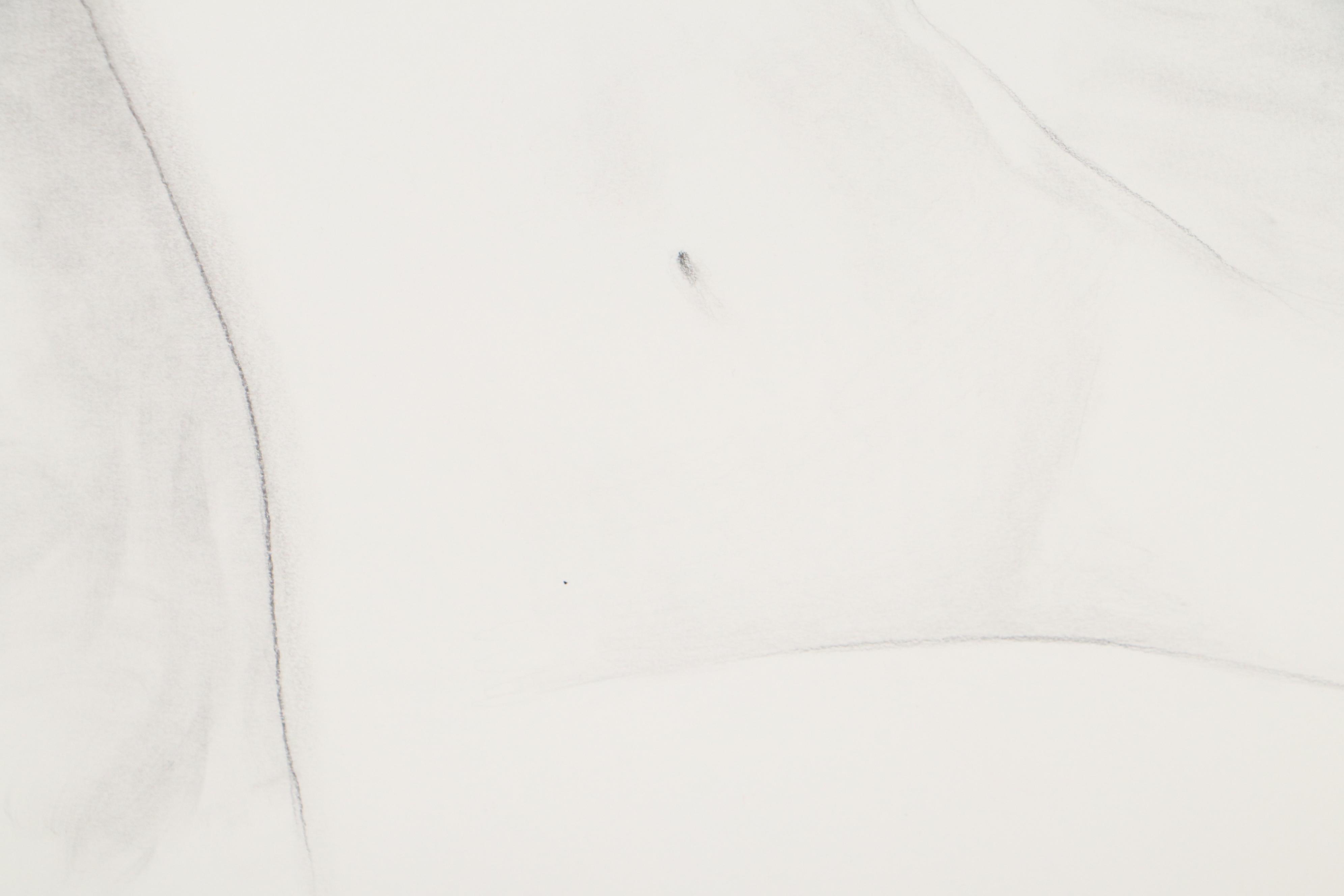 T. David Downs Nude Figure Graphite Drawing