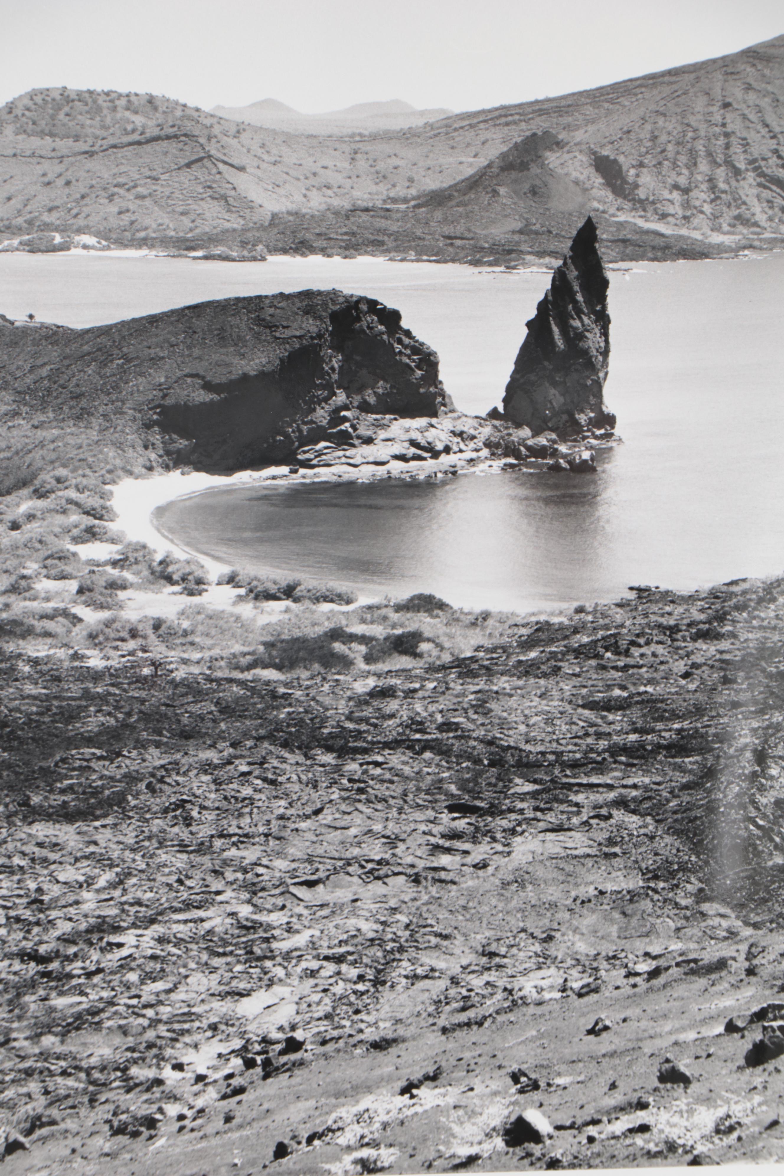 Grant Haist Silver Gelatin Prints of Galapagos Wildlife