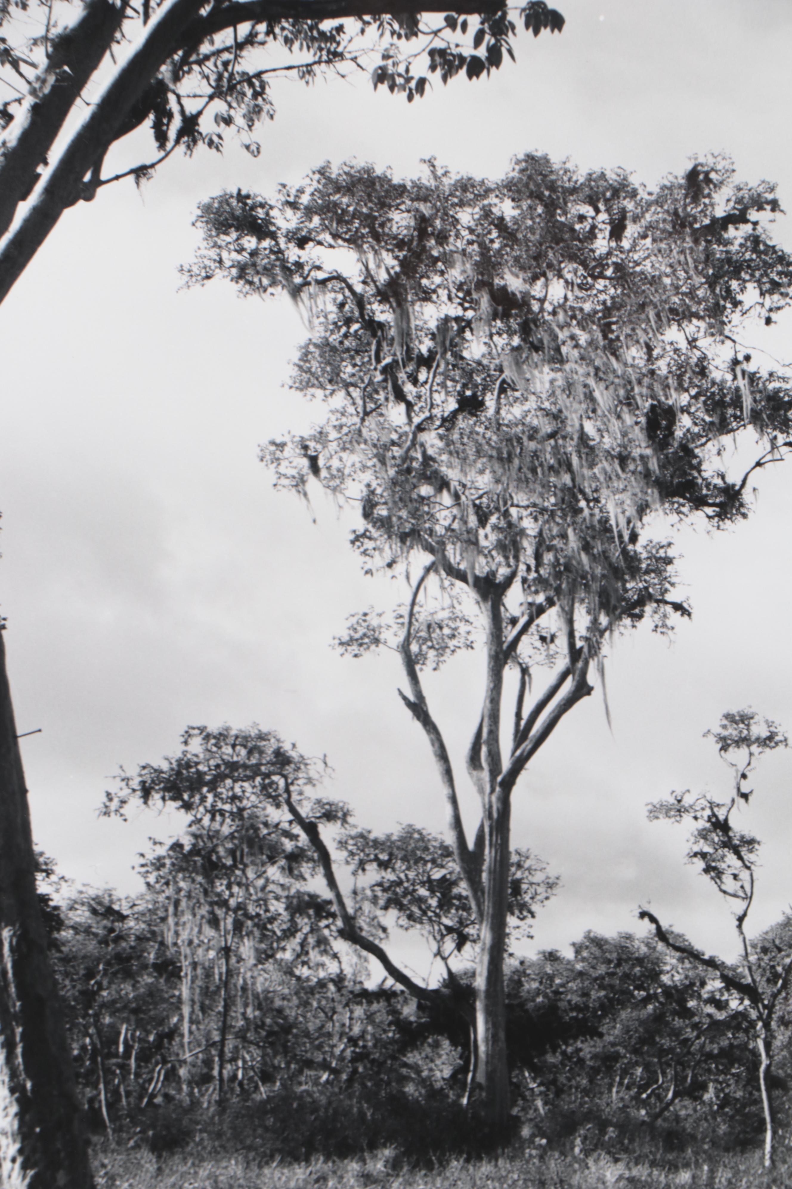 Grant Haist Silver Gelatin Prints of Galapagos Wildlife
