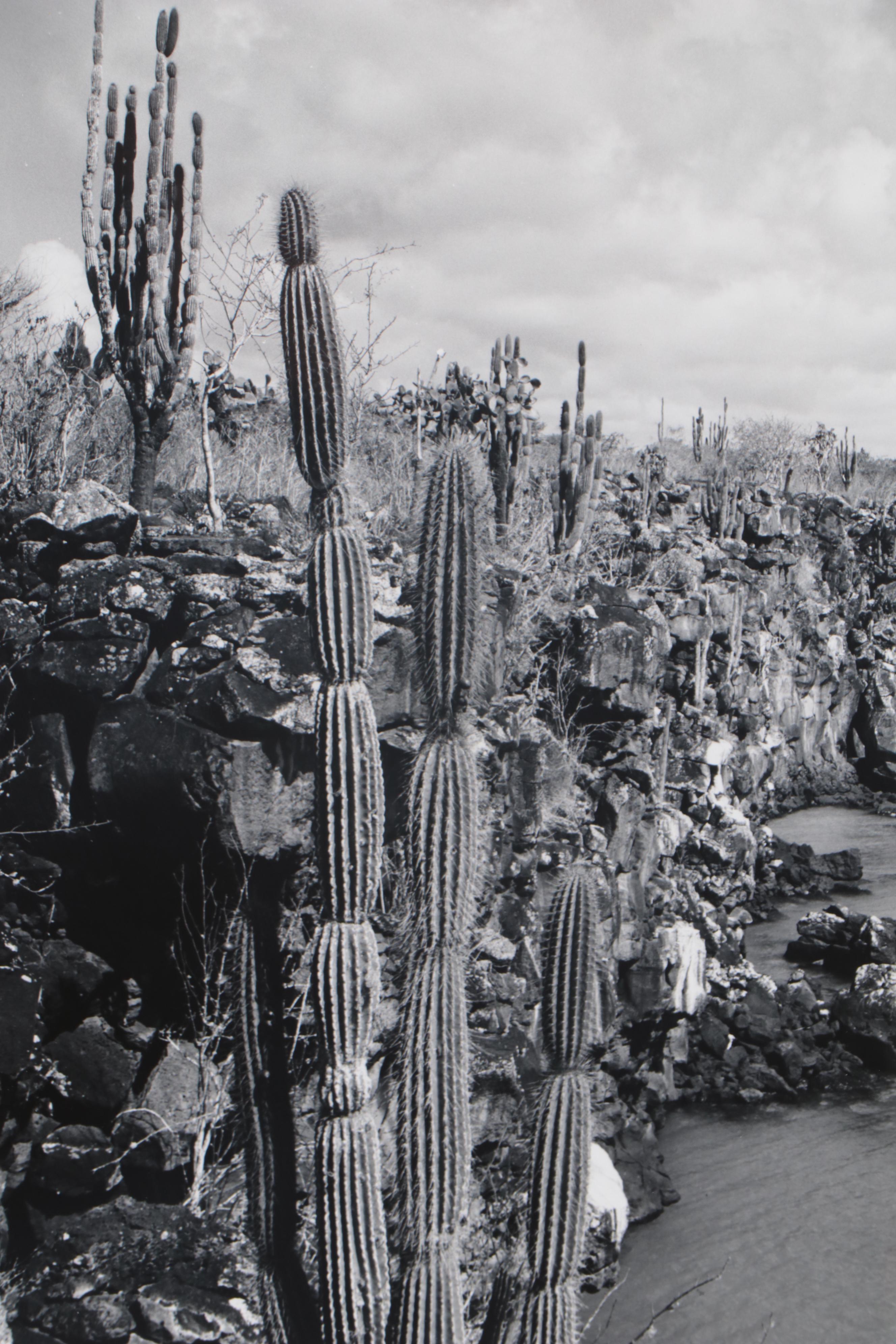 Grant Haist Silver Gelatin Prints of Galapagos Wildlife