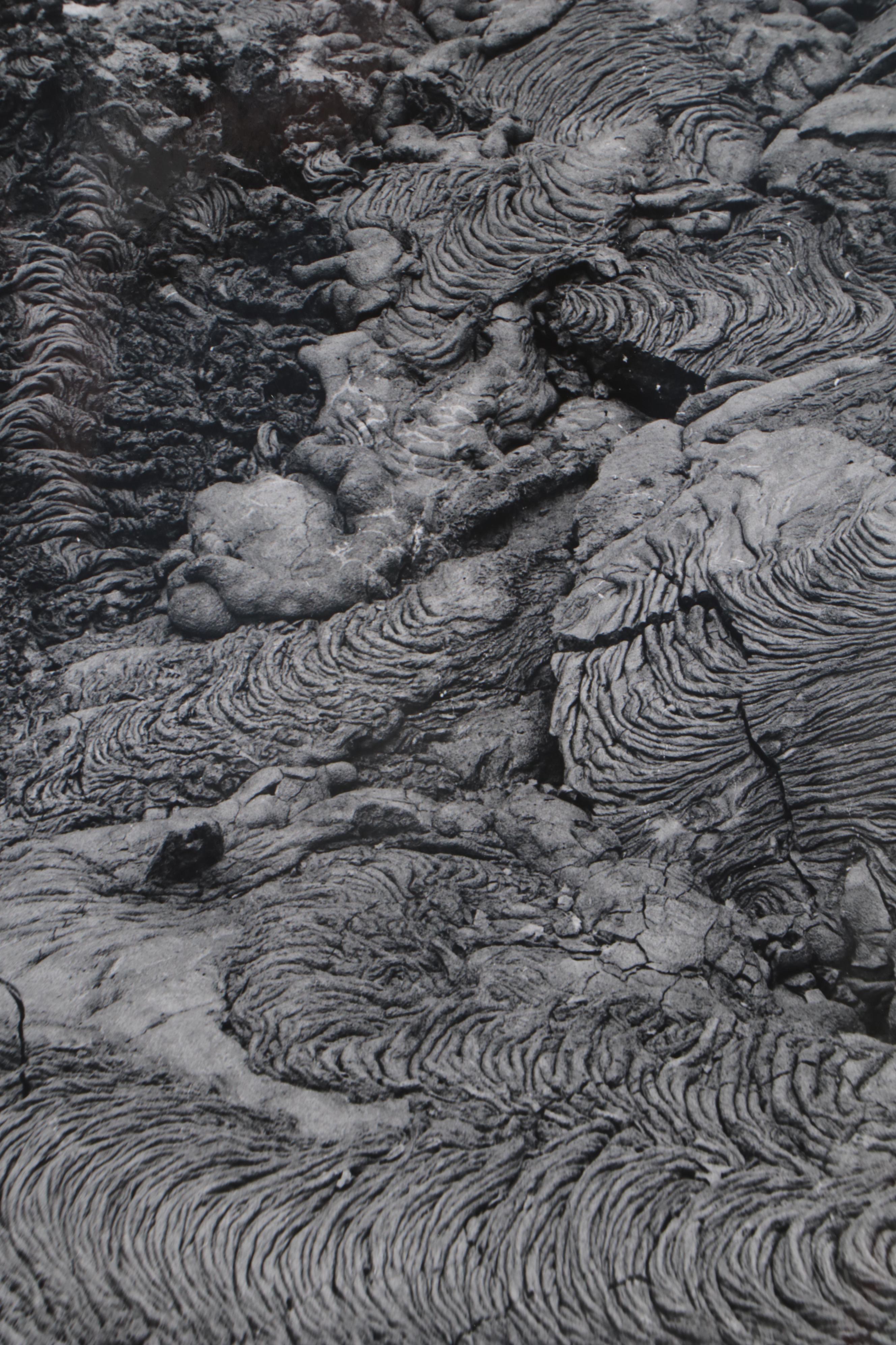 Grant Haist Silver Gelatin Prints of Galapagos Wildlife