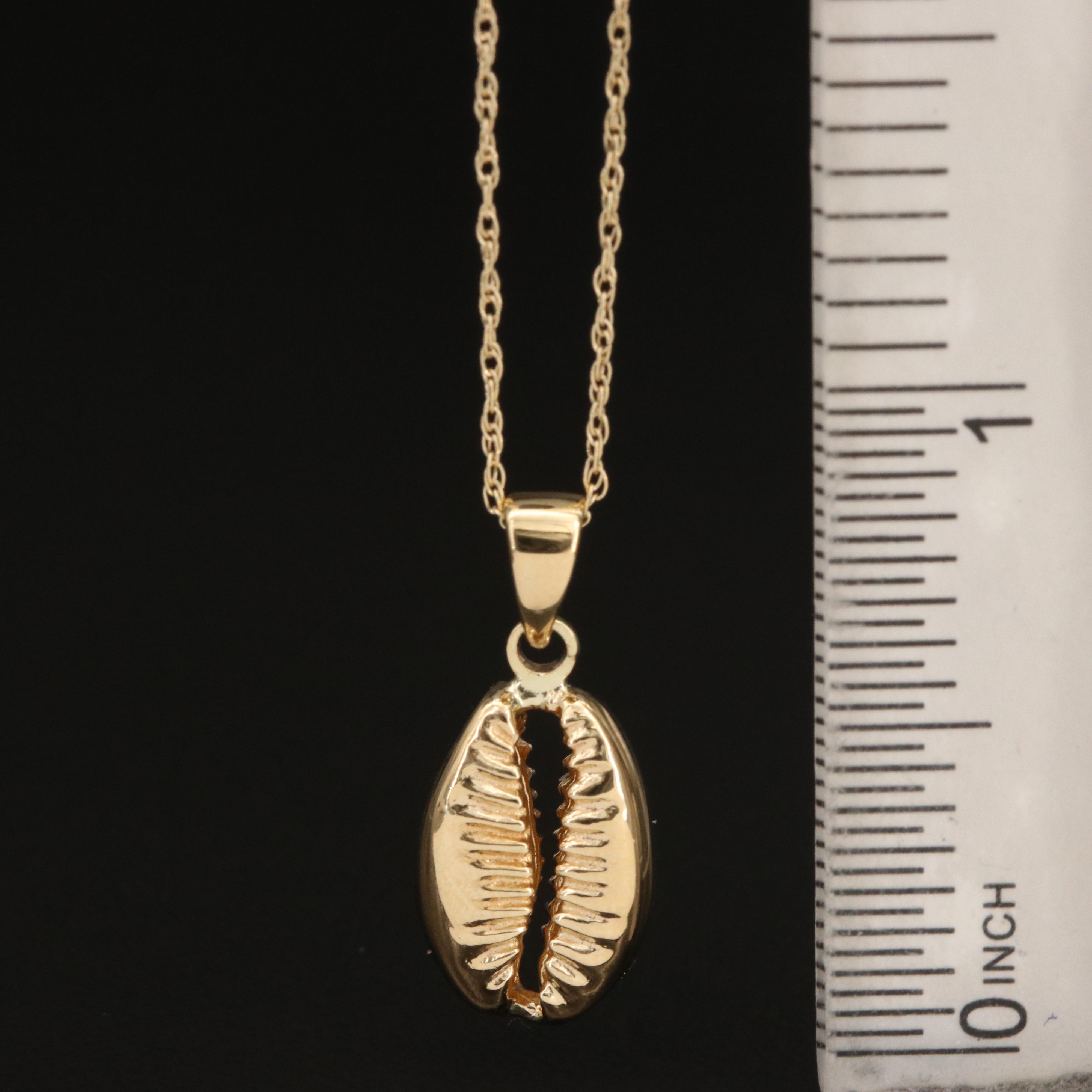 14K Cowrie Puka Shell Pendant Necklace
