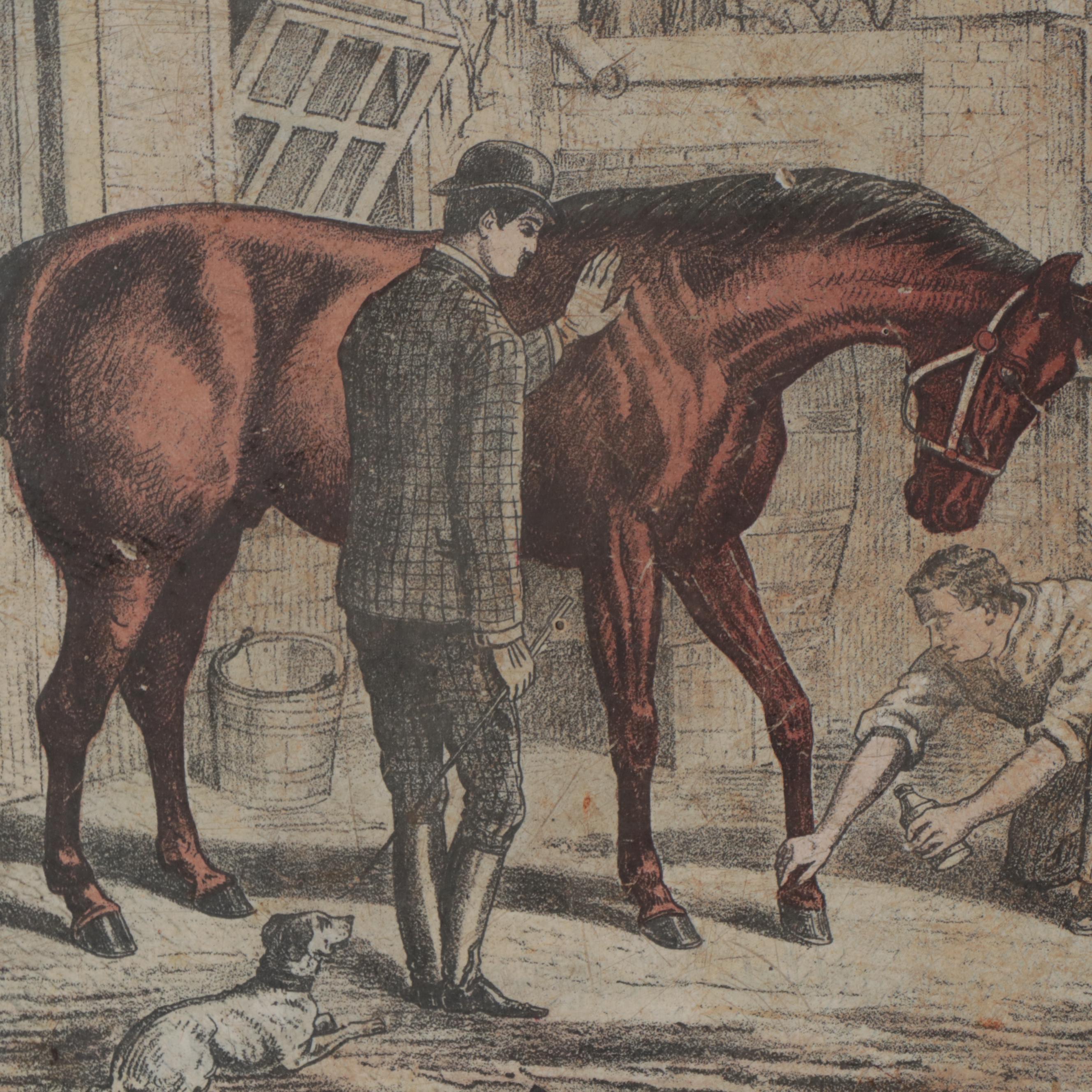 Enameled Metal Sign "Elliman's Embrocation", Late 19th to Early 20th Century