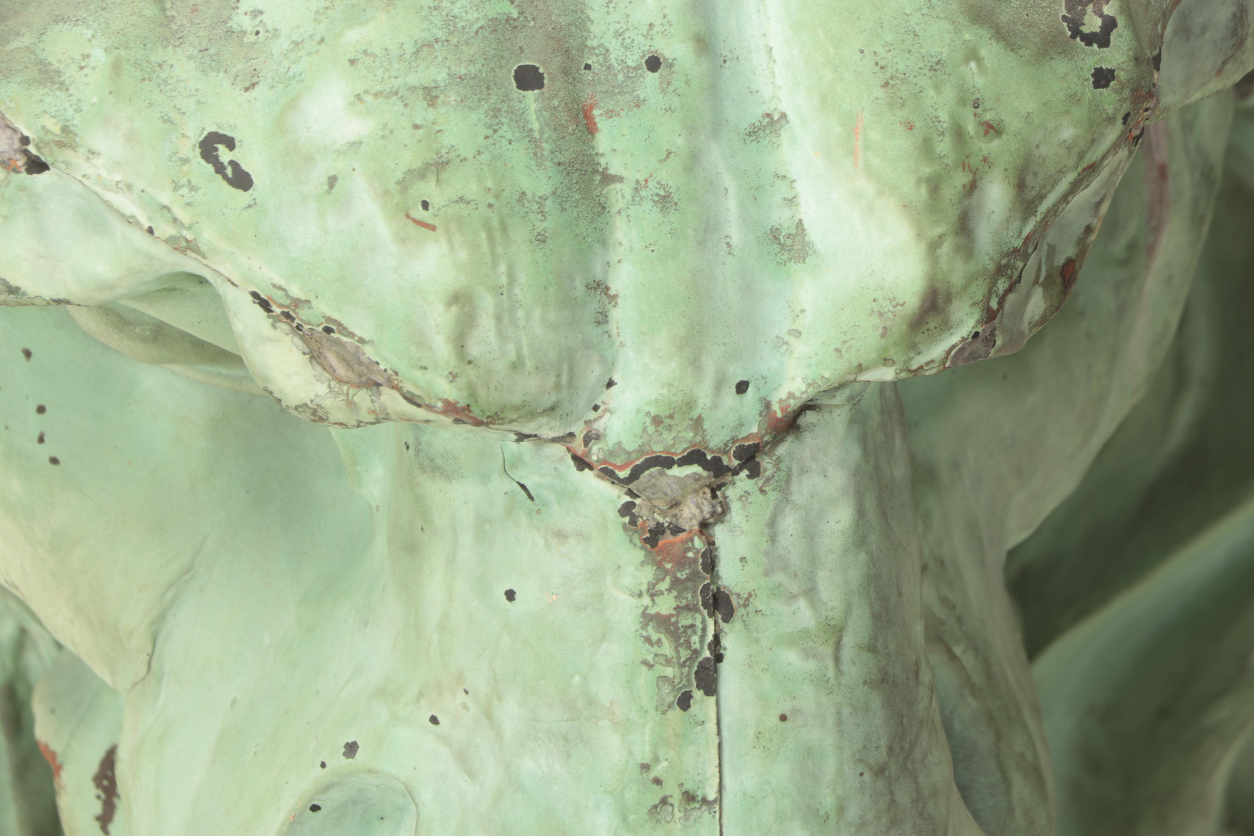 Copper Lion Head Fountain Spout