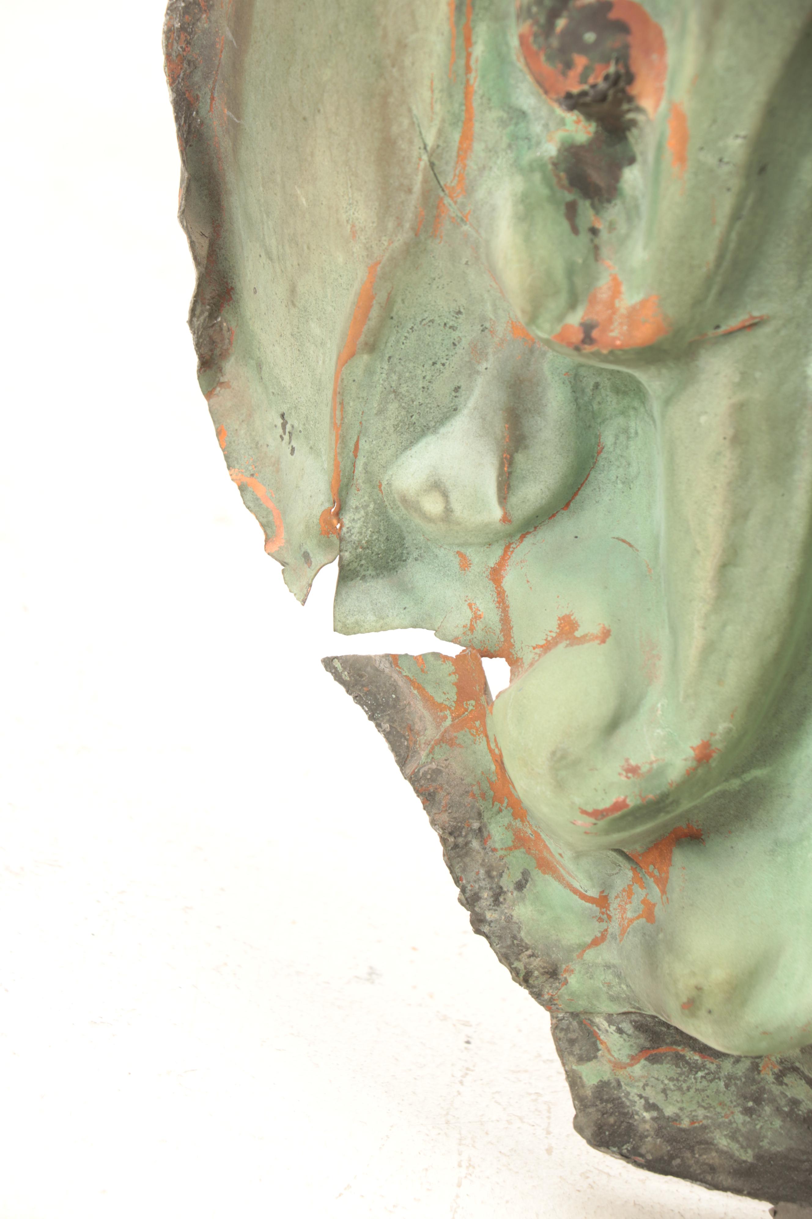 Copper Lion Head Fountain Spout