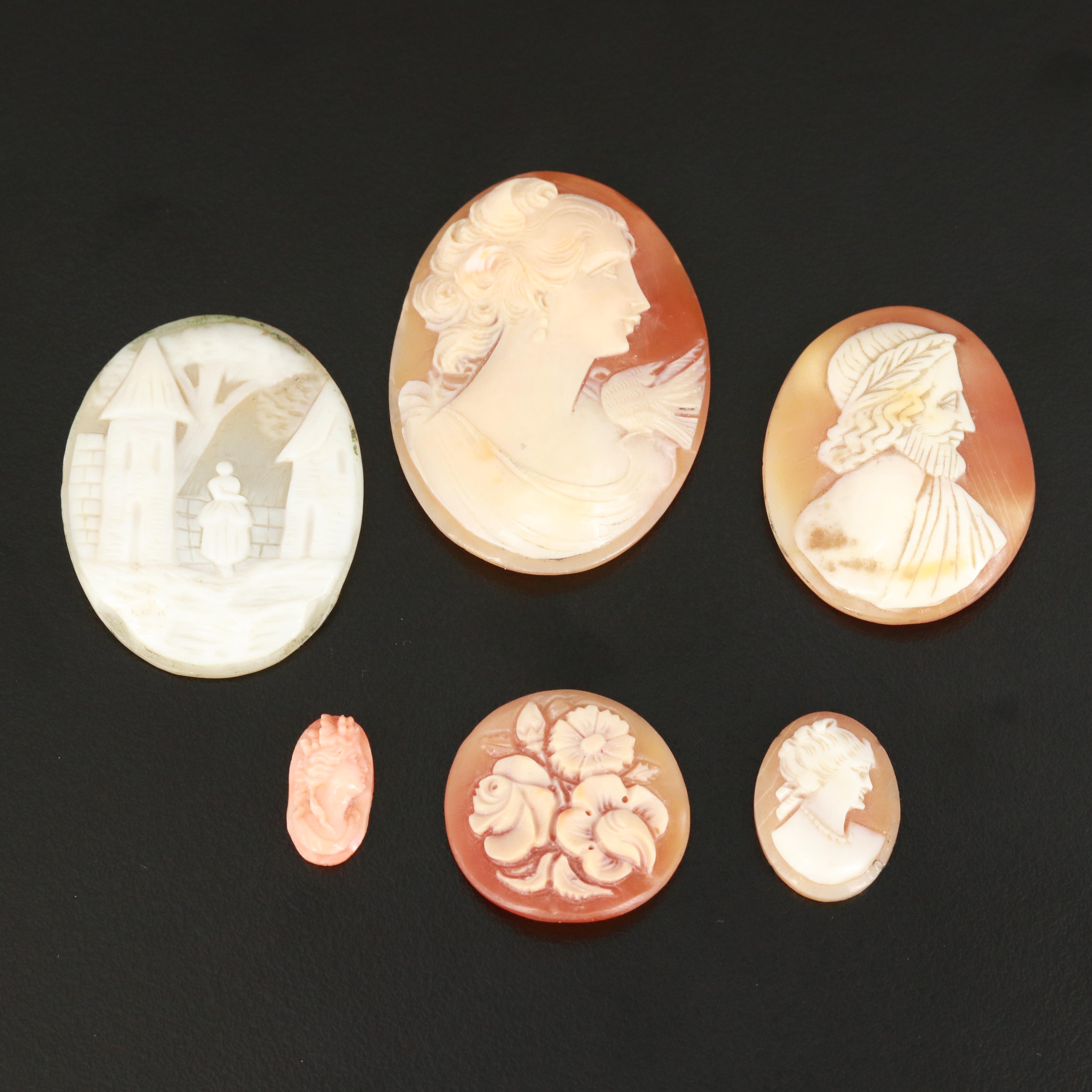 Loose Shell and Coral Cameos