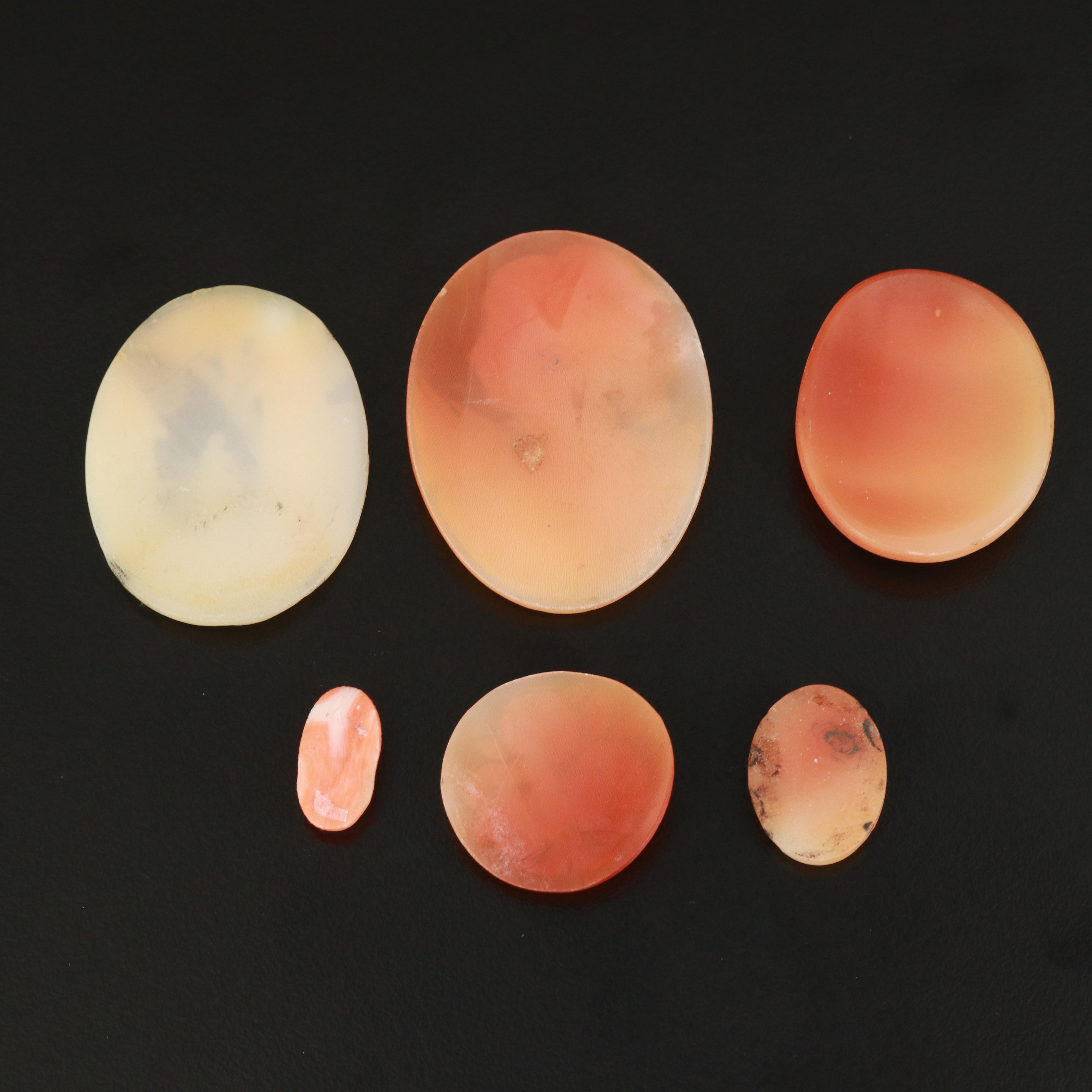 Loose Shell and Coral Cameos