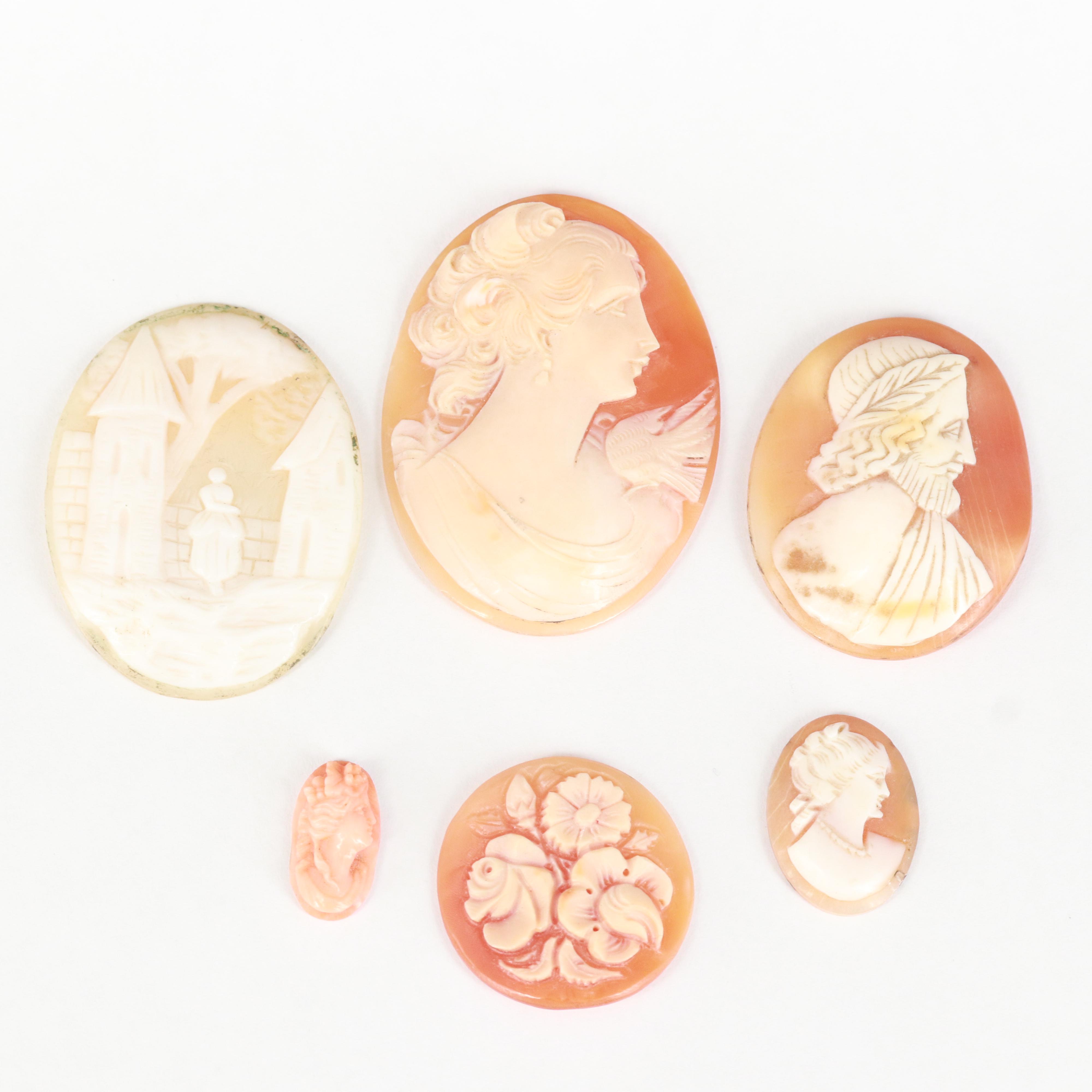 Loose Shell and Coral Cameos