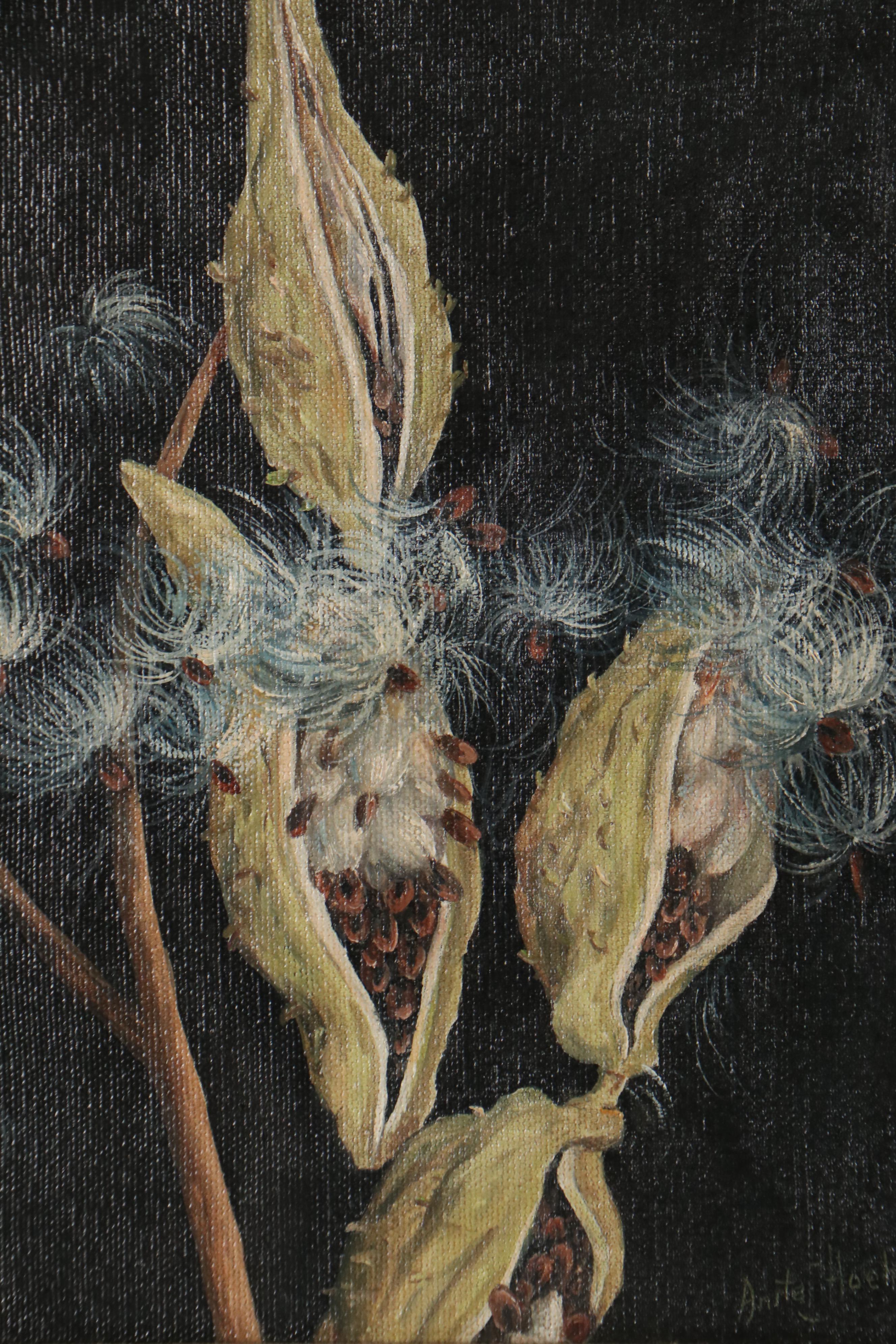Anita Hoehne Oil Painting of Milkweed, Late 20th Century
