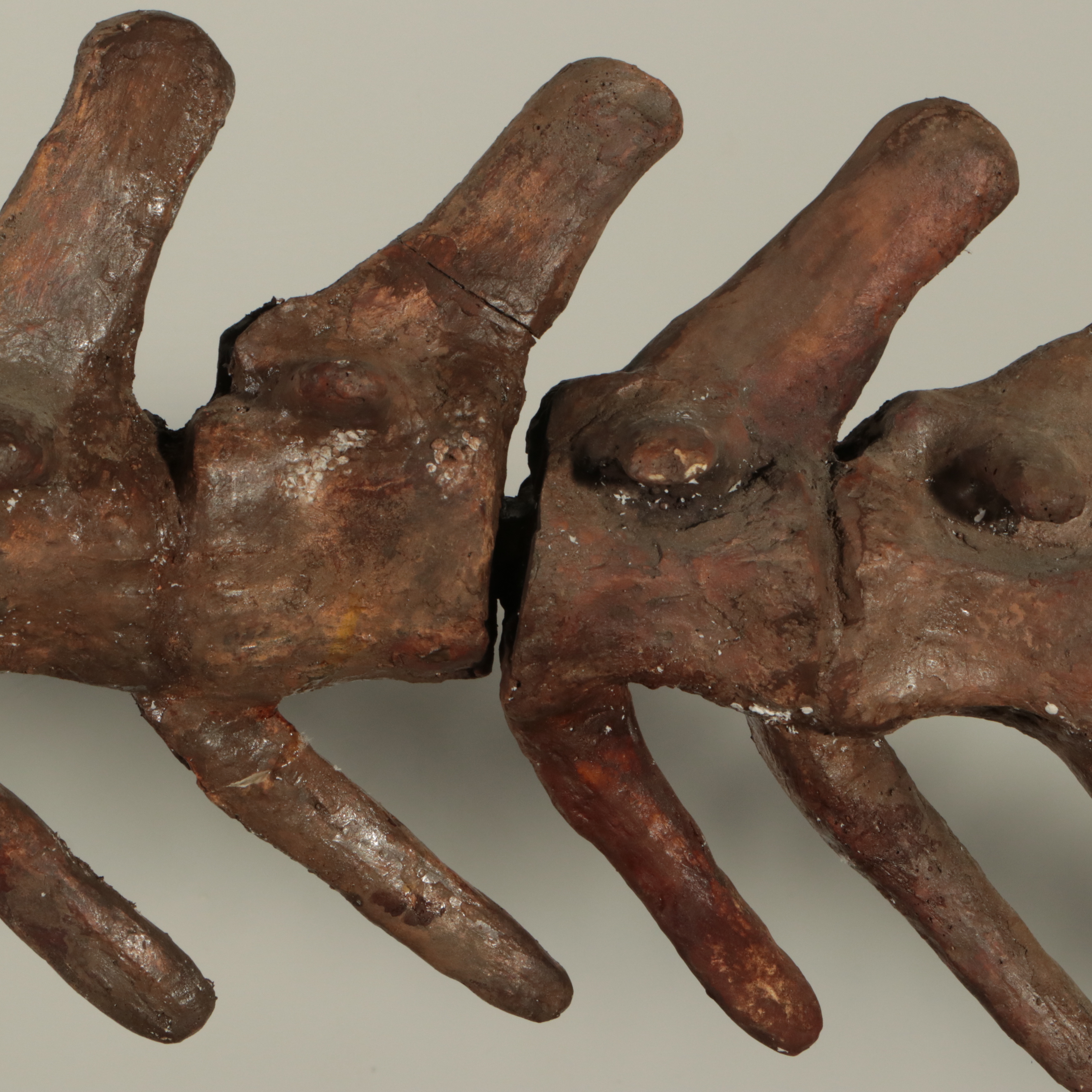 Full-Scale Cast Hadrosaur Dinosaur Skeleton Model