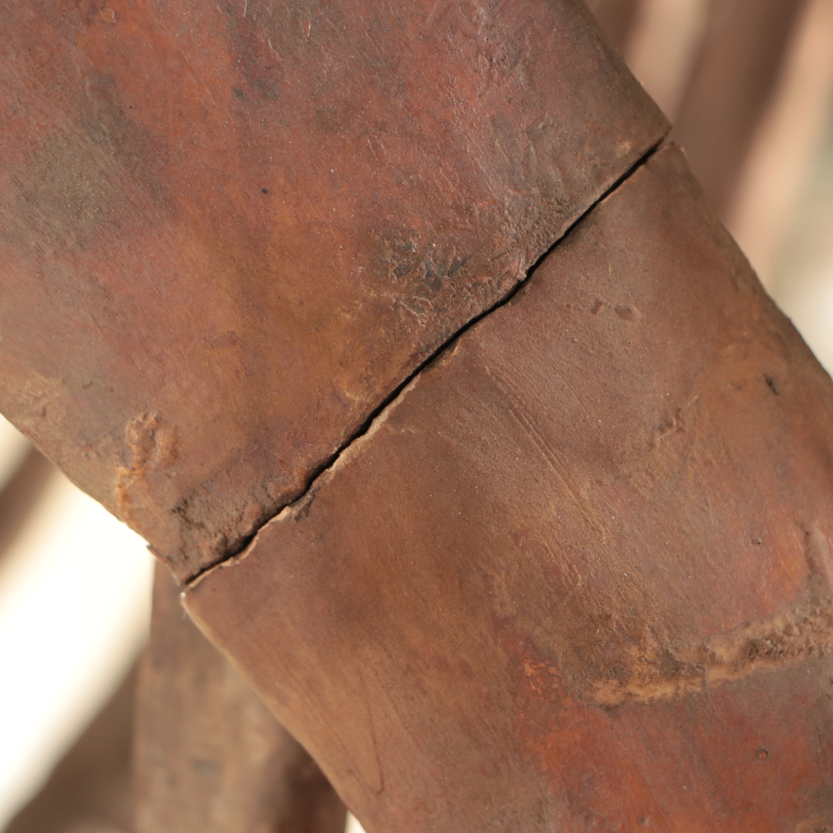 Full-Scale Cast Hadrosaur Dinosaur Skeleton Model