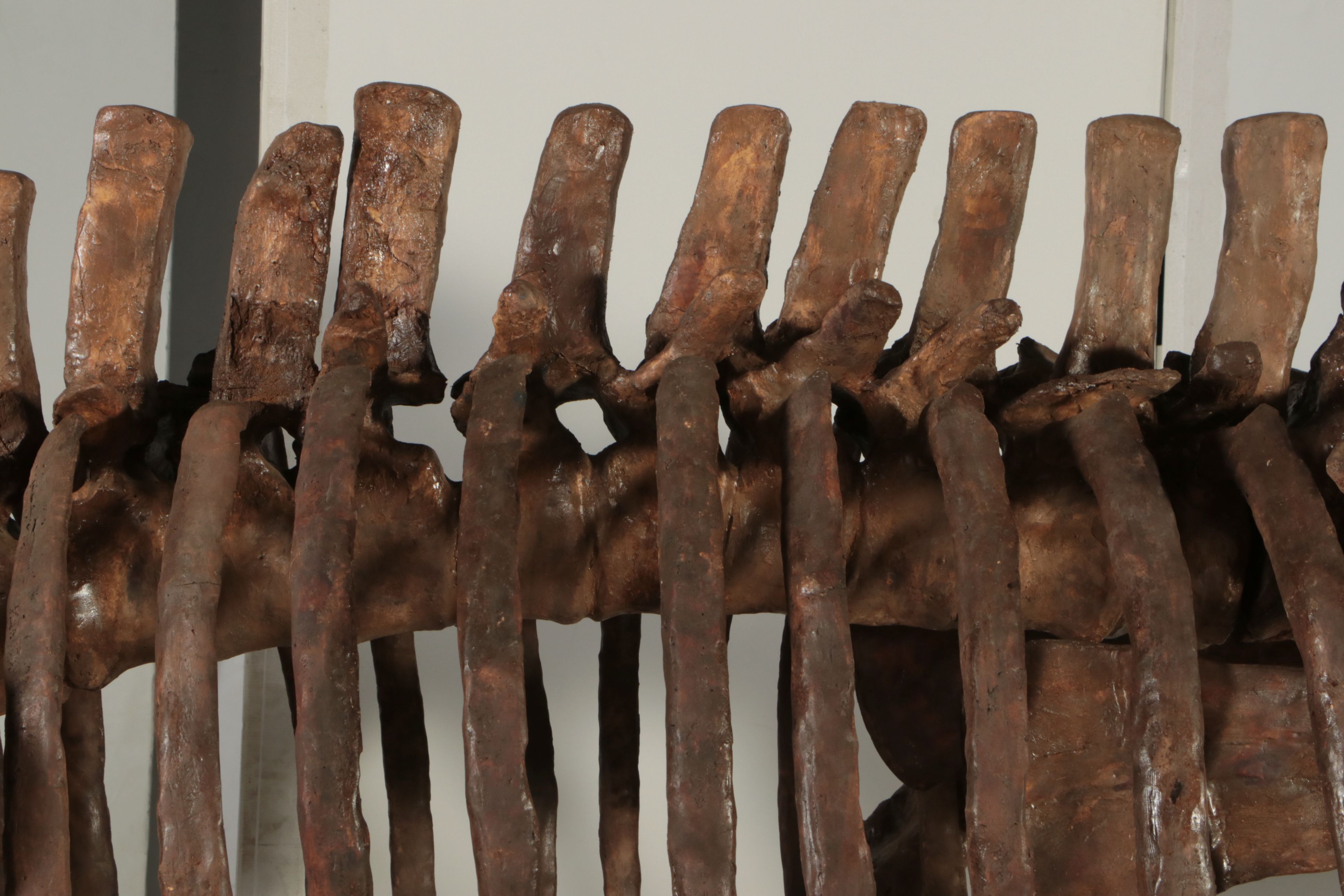 Full-Scale Cast Hadrosaur Dinosaur Skeleton Model