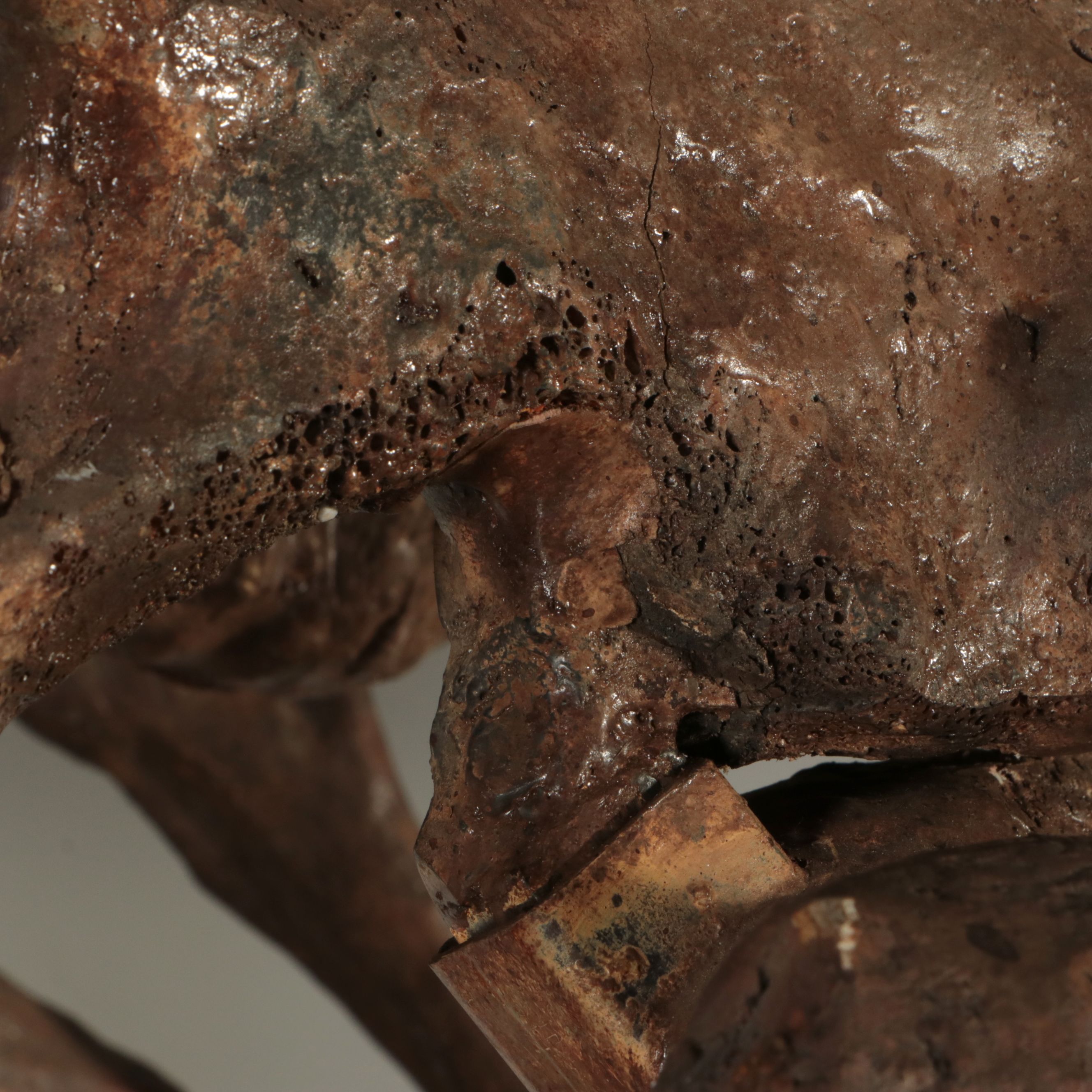 Full-Scale Cast Hadrosaur Dinosaur Skeleton Model