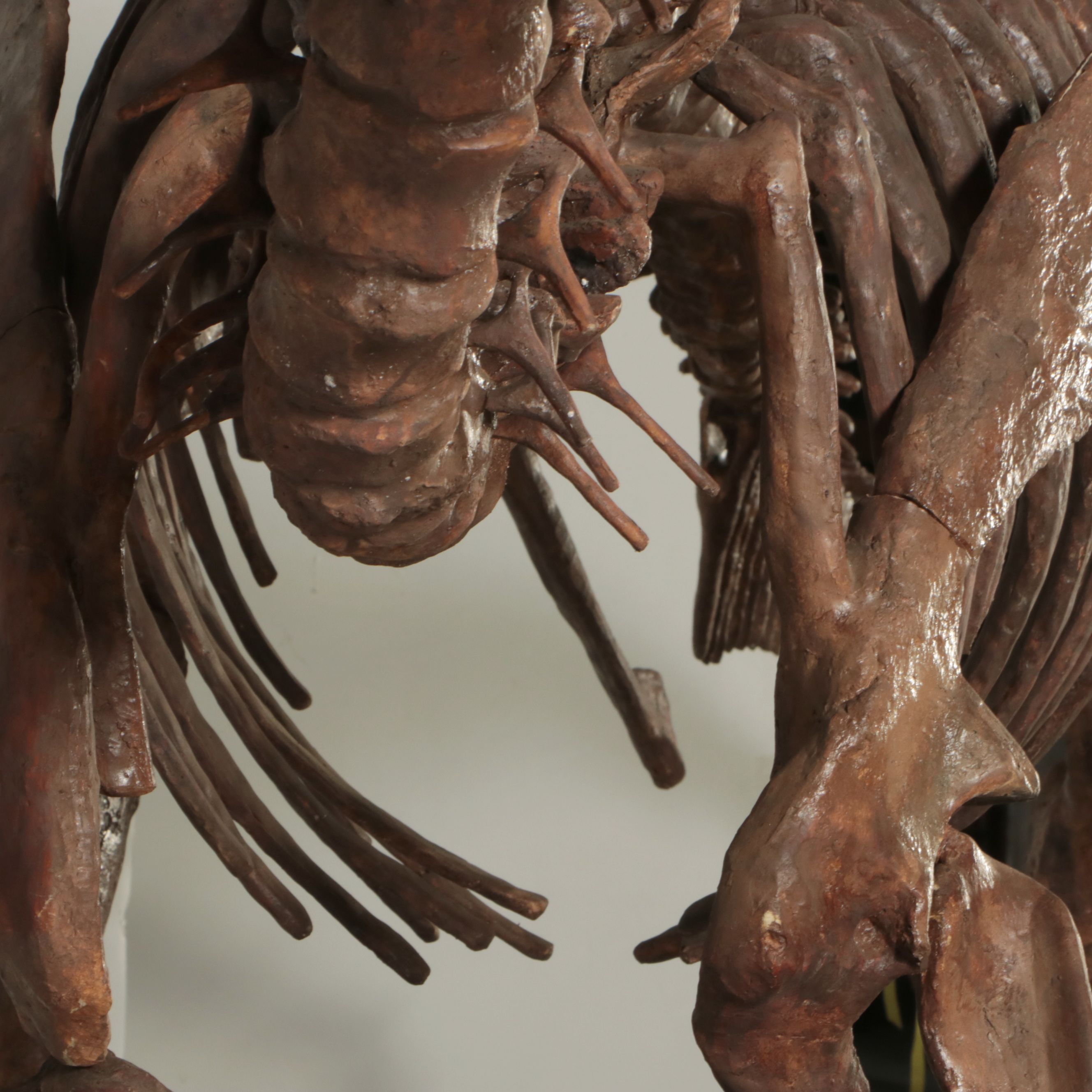 Full-Scale Cast Hadrosaur Dinosaur Skeleton Model