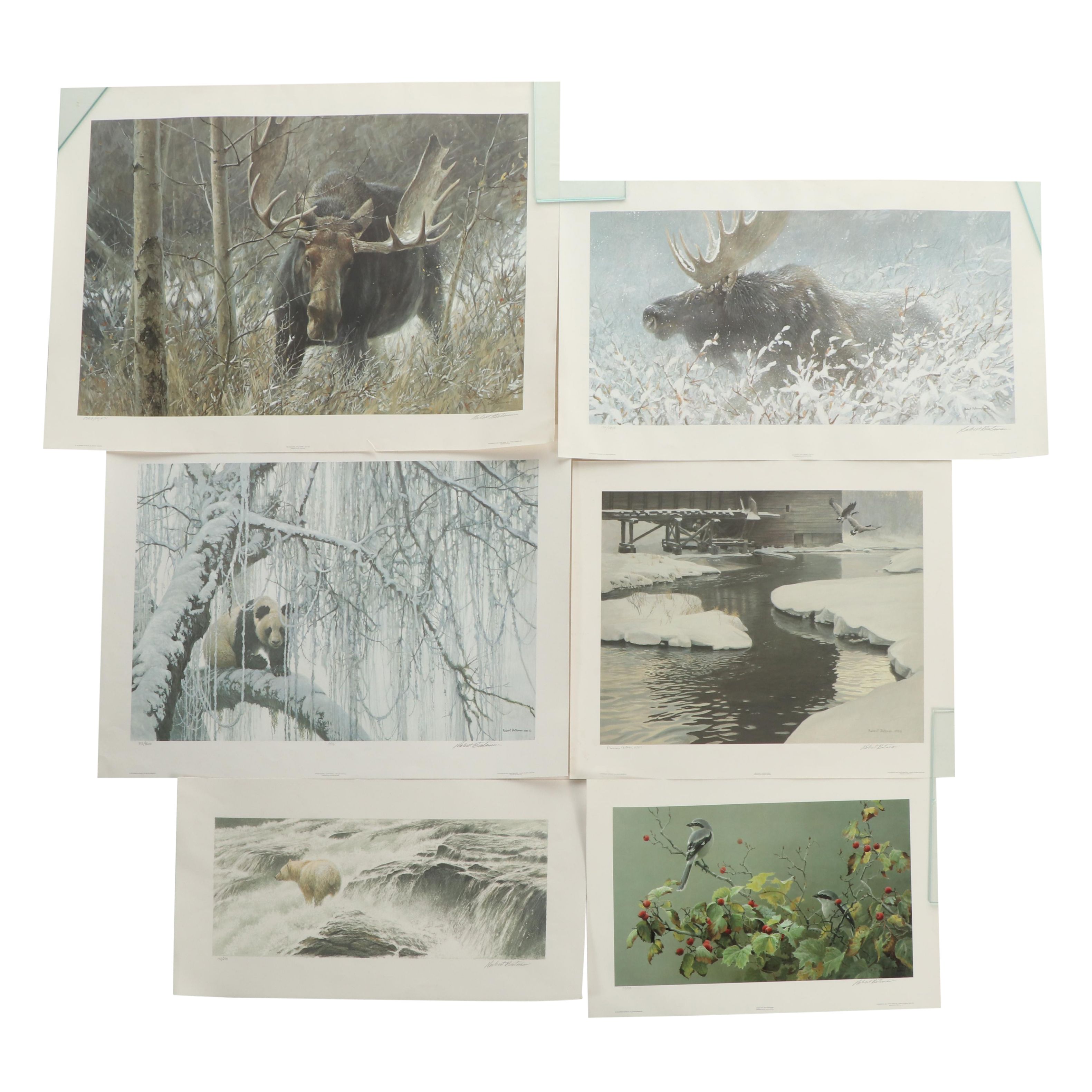 Robert Bateman Wildlife-Themed Offset Lithographs and More