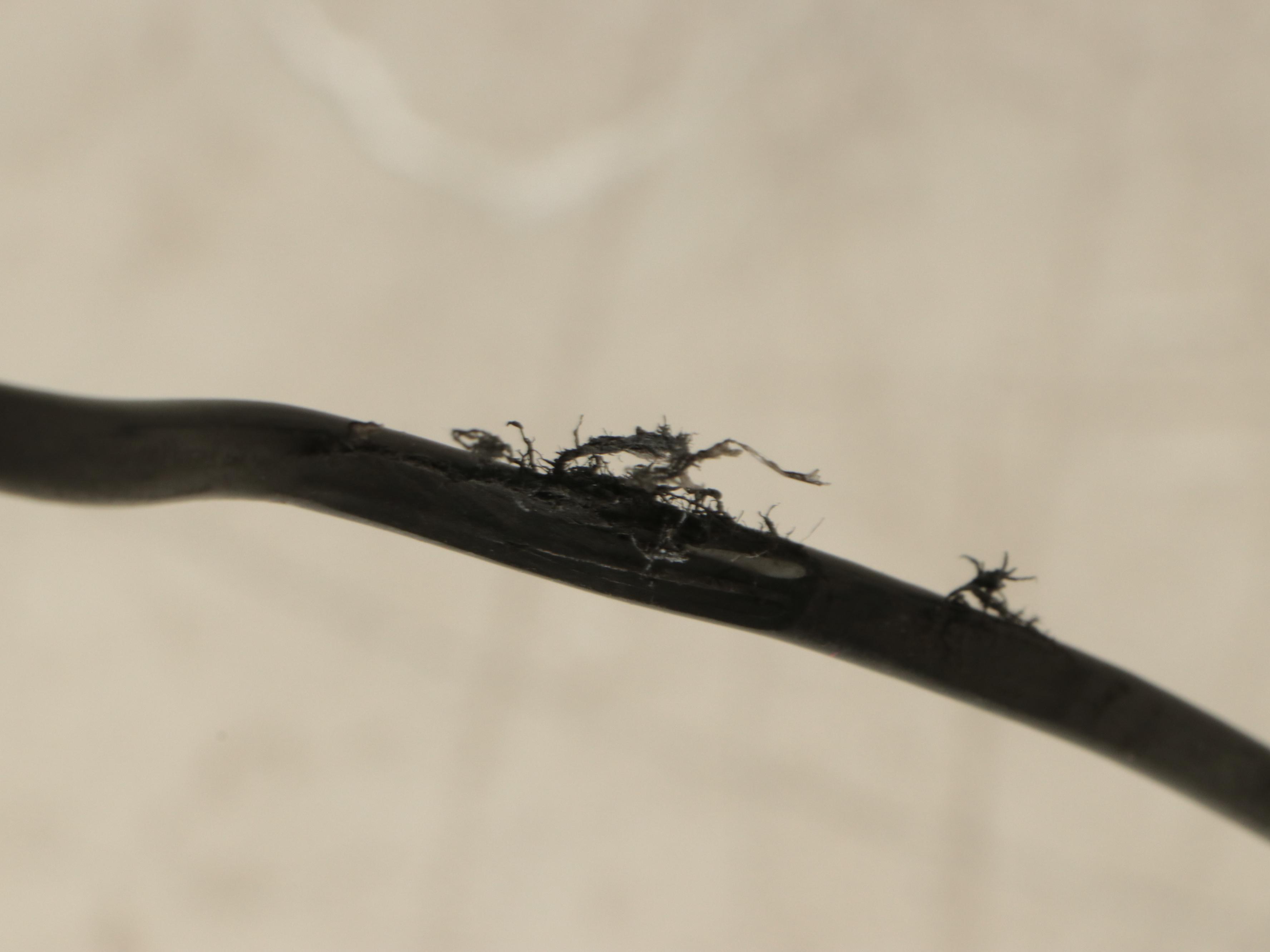 Gilman Creek Messina Leather Power Reclining Sofa with Power Headrests