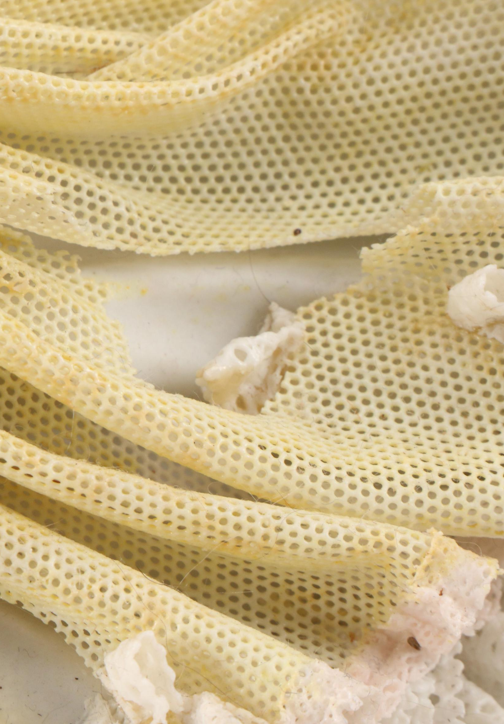 Sitzendorf "King's Waltz" Dresden Lace Porcelain Tableau, Early to Mid-20th C.