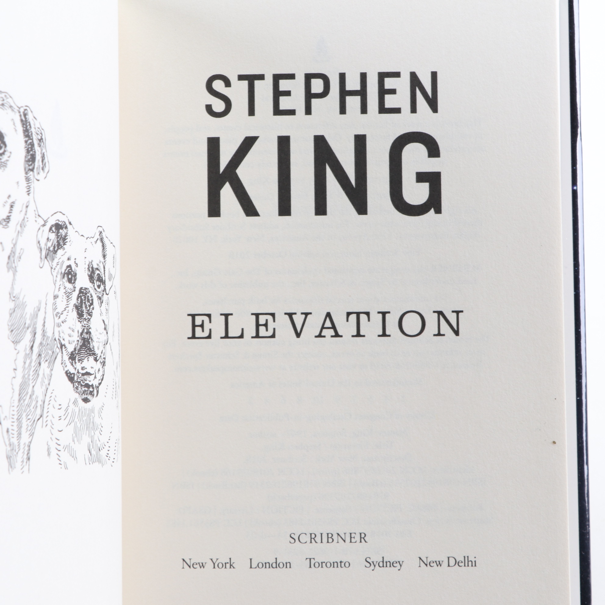 Signed First Edition "Under the Dome" and More Stephen King Books