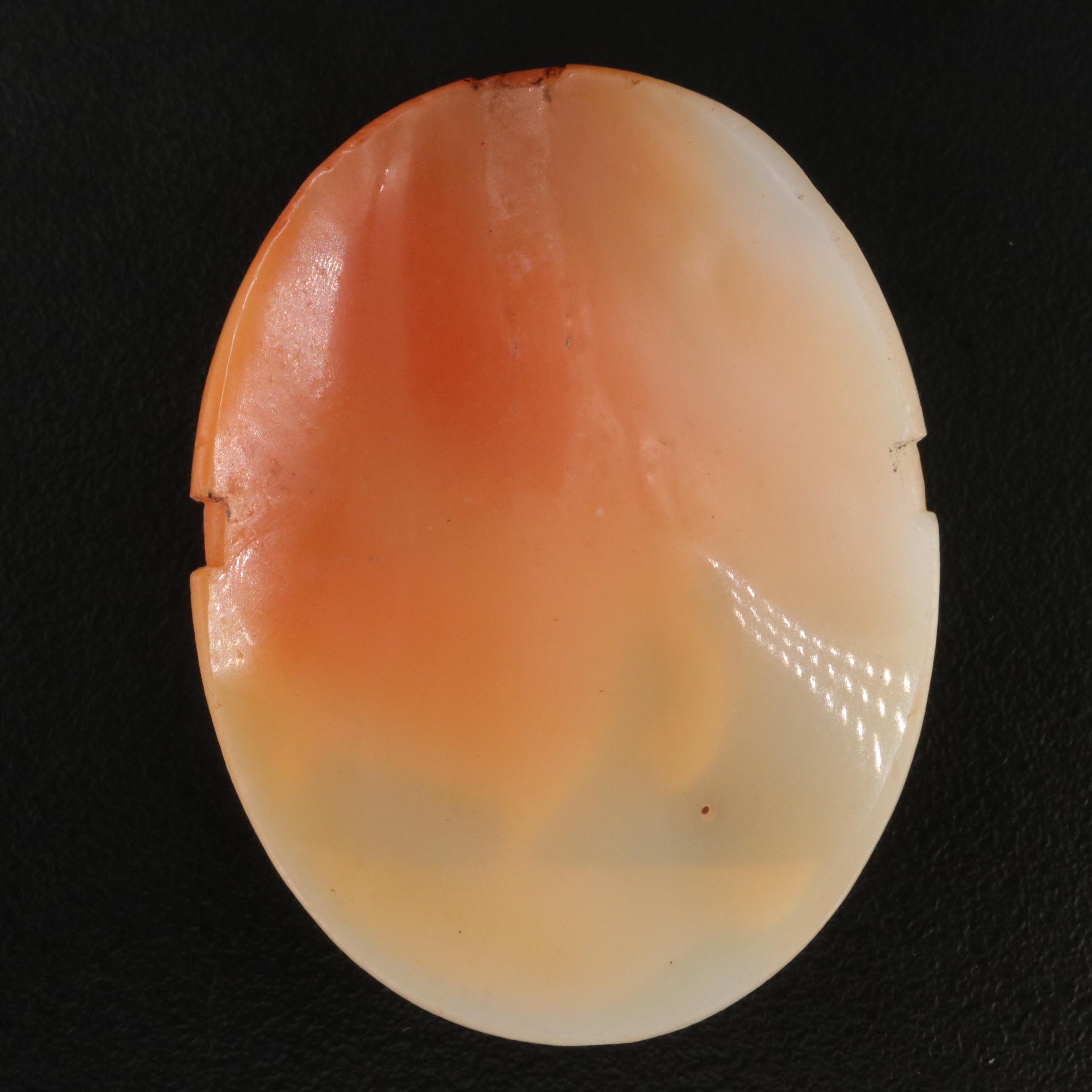 Loose Shell Angel with Child Cameo