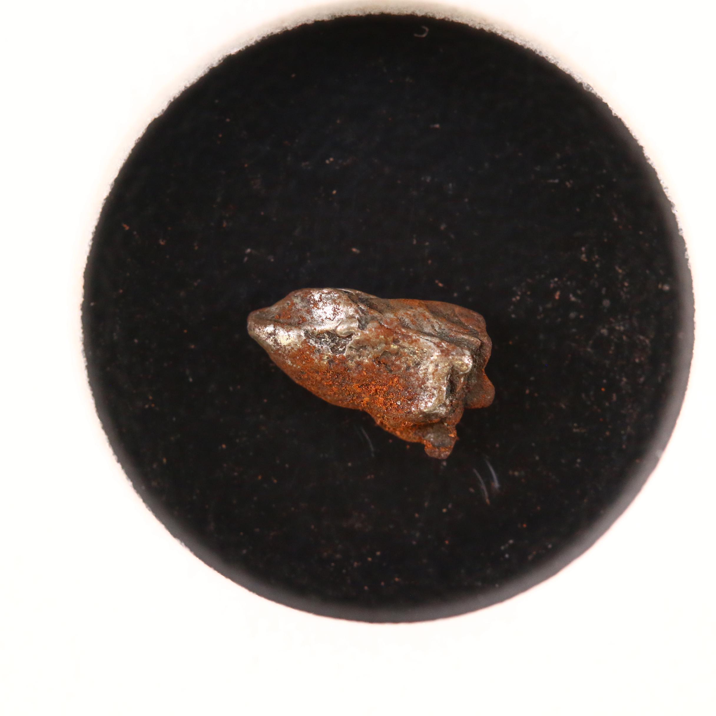 Twenty Encapsulated Meteorite Fragments from Campo del Cielo, Argentina