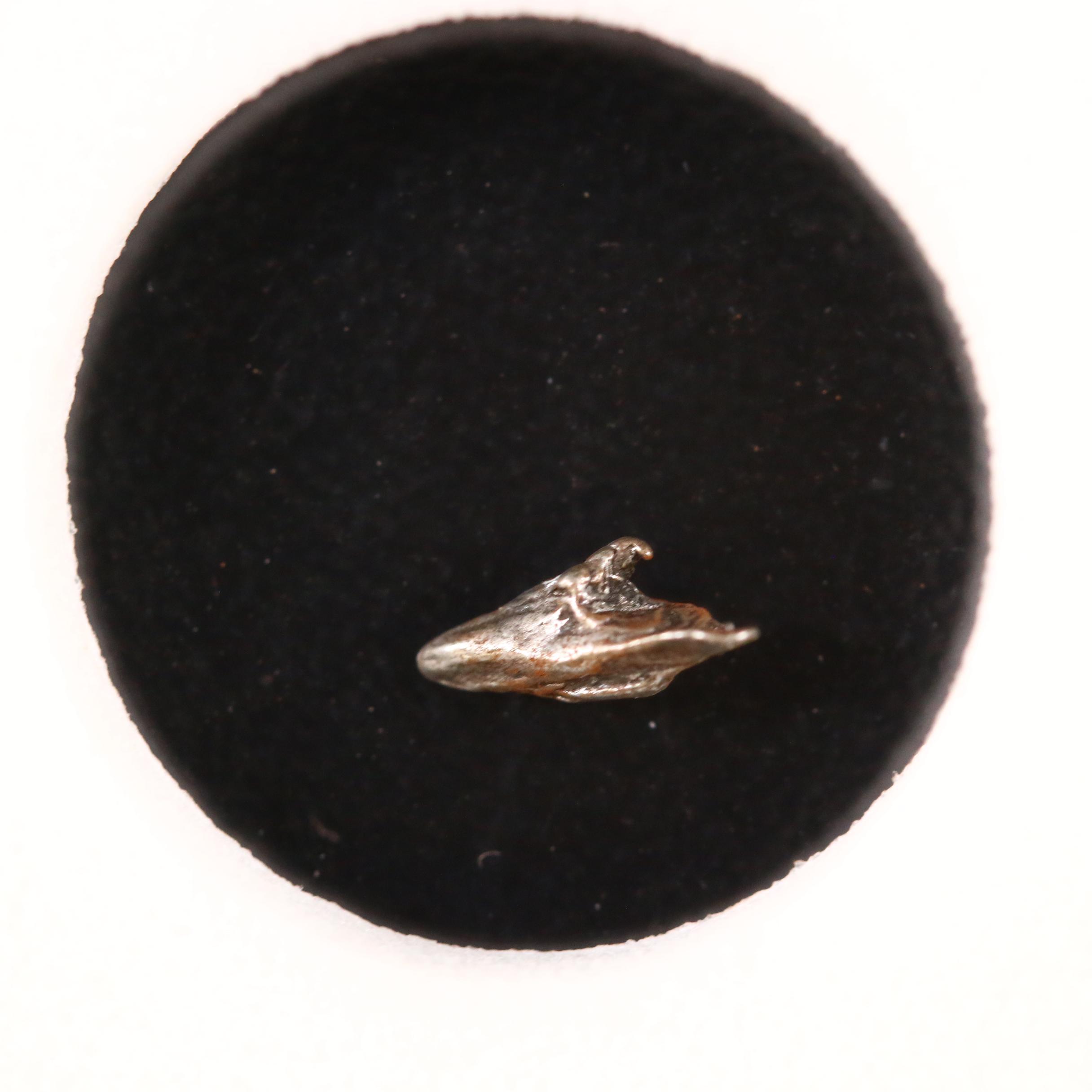 Twenty Encapsulated Meteorite Fragments from Campo del Cielo, Argentina