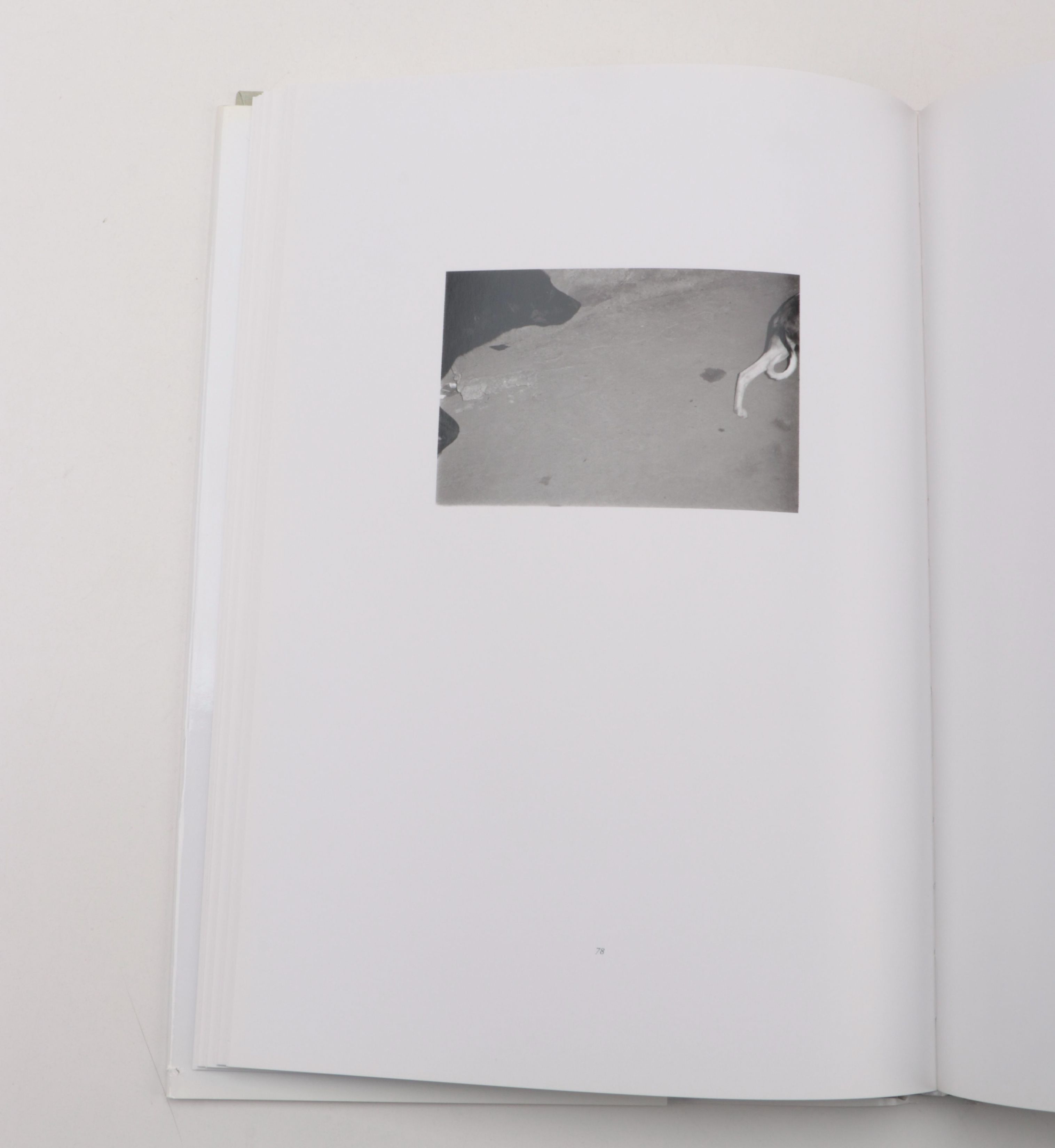 First Edition "Burning Cold" by Gary Bernstein with More Photography Books