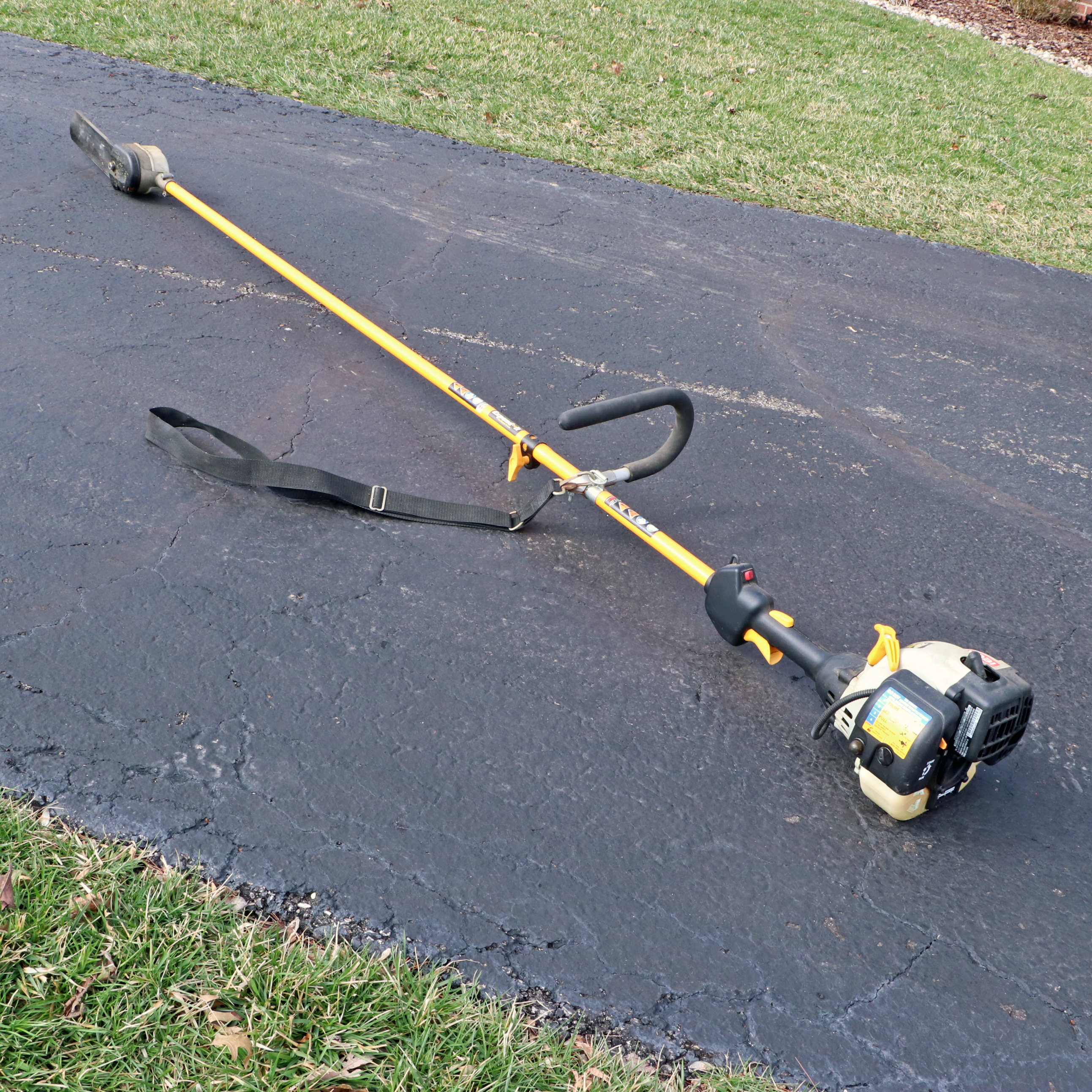 Ryobi Gas Pruner with Expandable Pole TP30