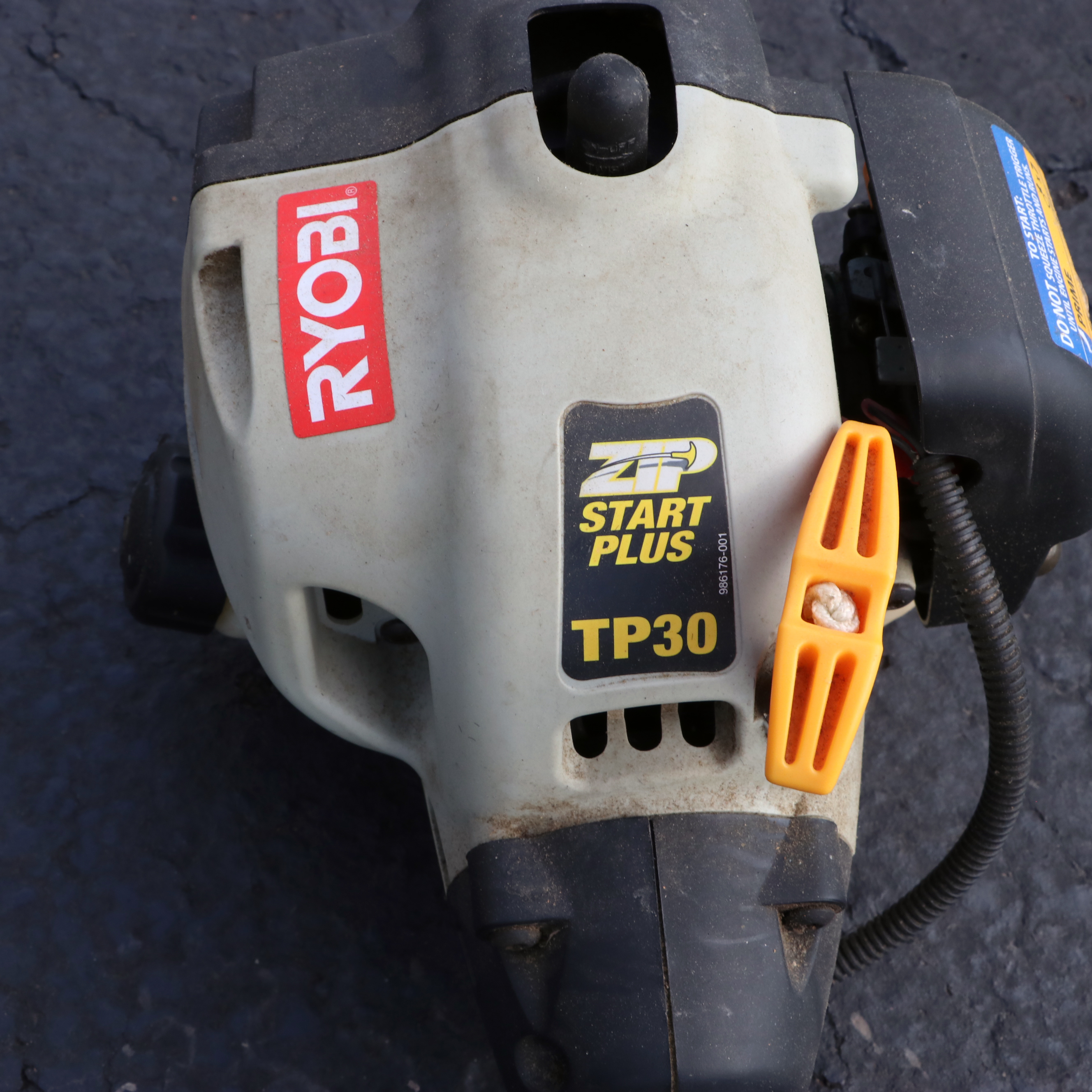 Ryobi Gas Pruner with Expandable Pole TP30