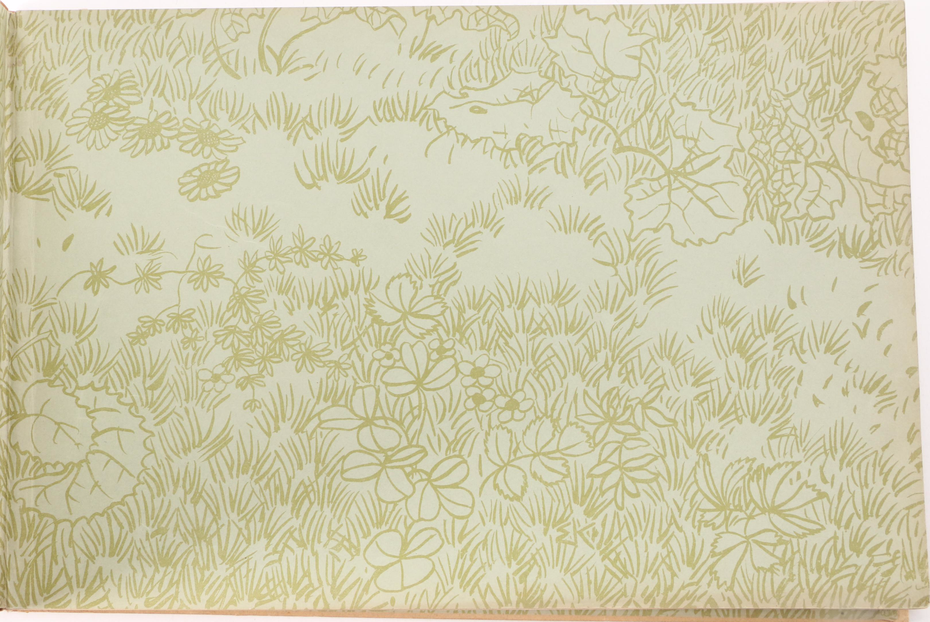 Illustrated German Children's Books Including "Münchhausen" and "Miaulina"