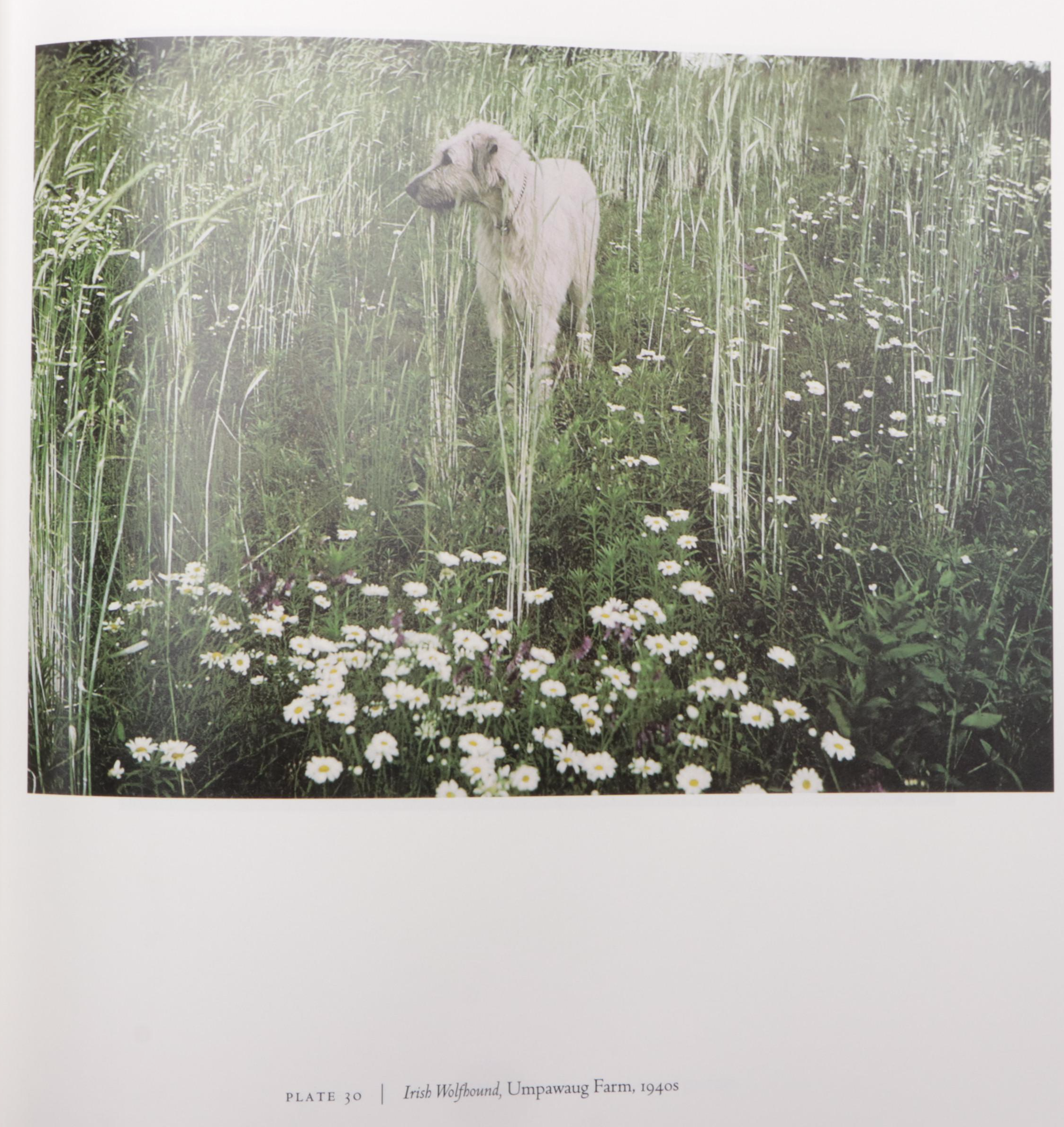 First Edition "Steichen's Legacy" by Joanna Steichen and More Books