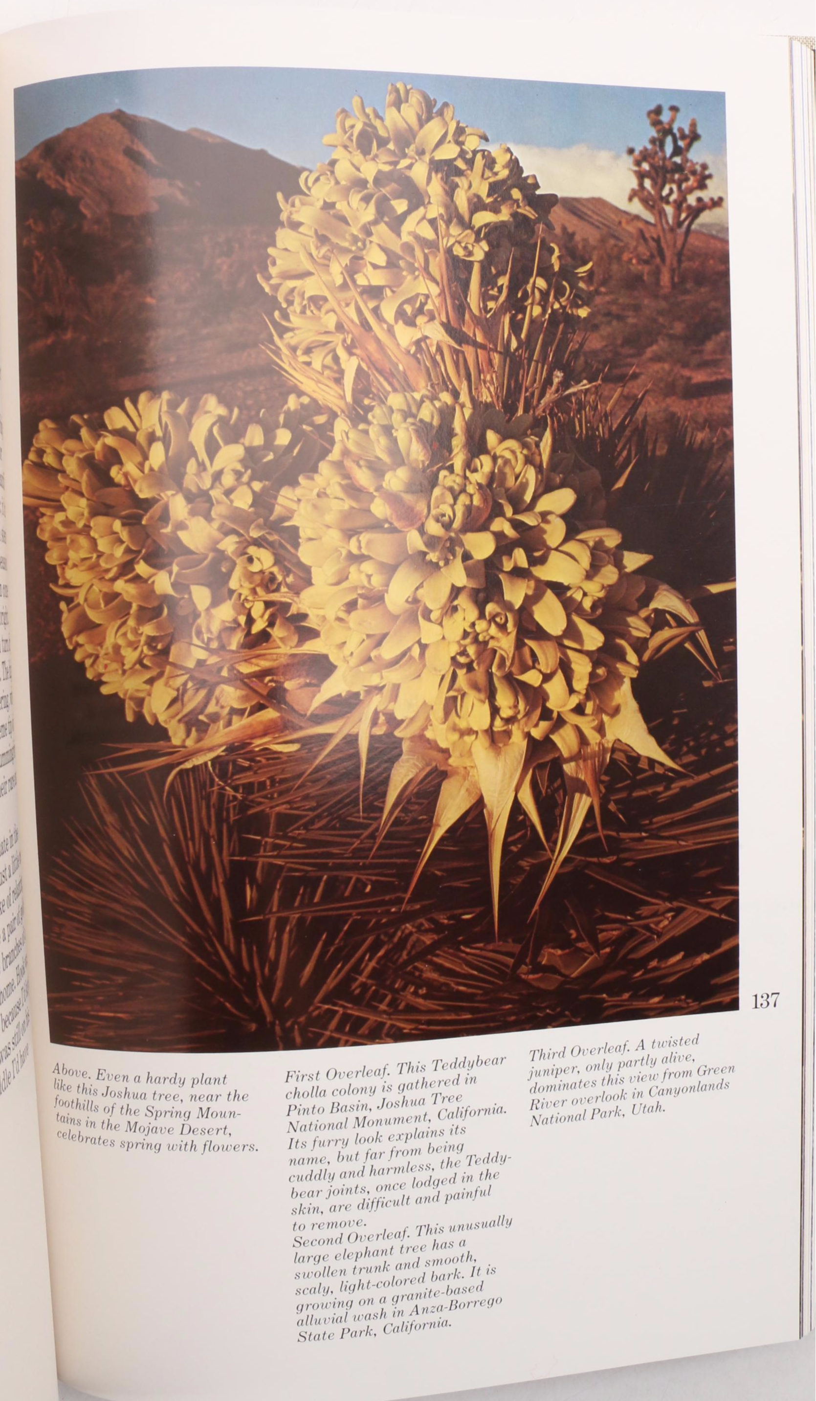 First Edition "Desert Images: An American Landscape" by Edward Abbey, 1979