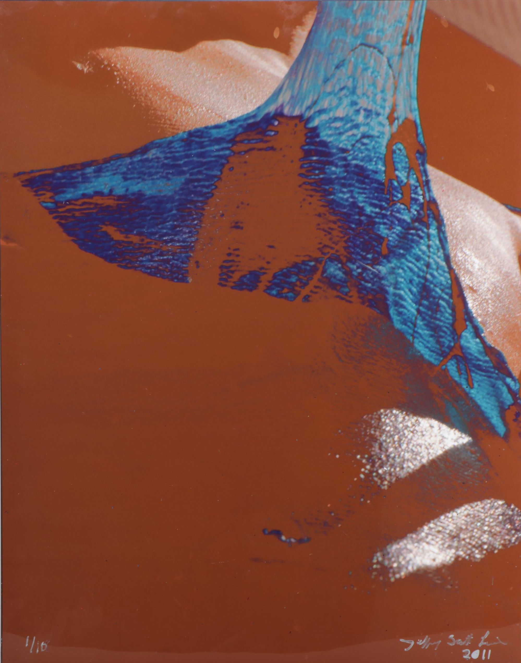 Jeffrey Scott Lewis Digital Print "No Sweat Off My Back," 2011