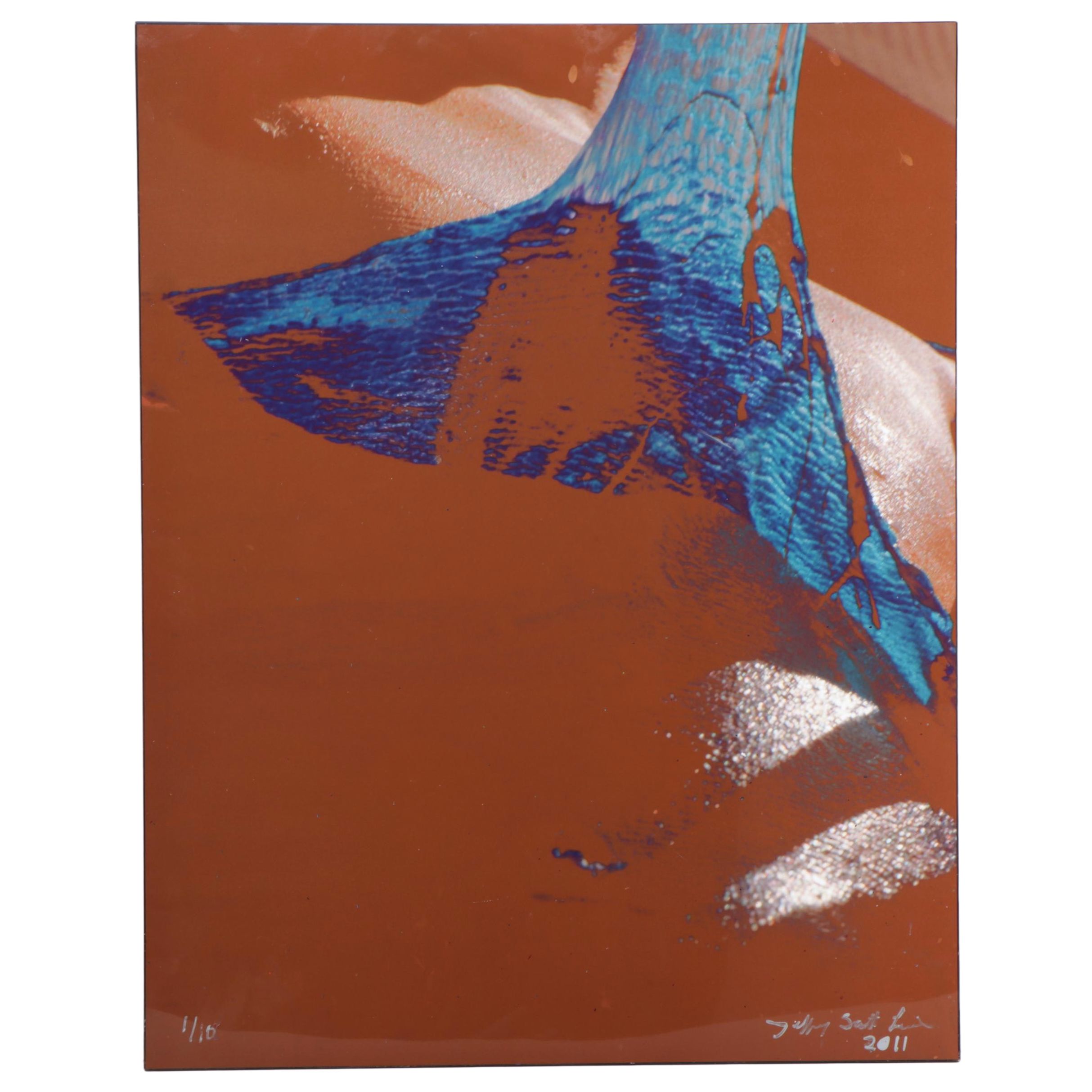 Jeffrey Scott Lewis Digital Print "No Sweat Off My Back," 2011